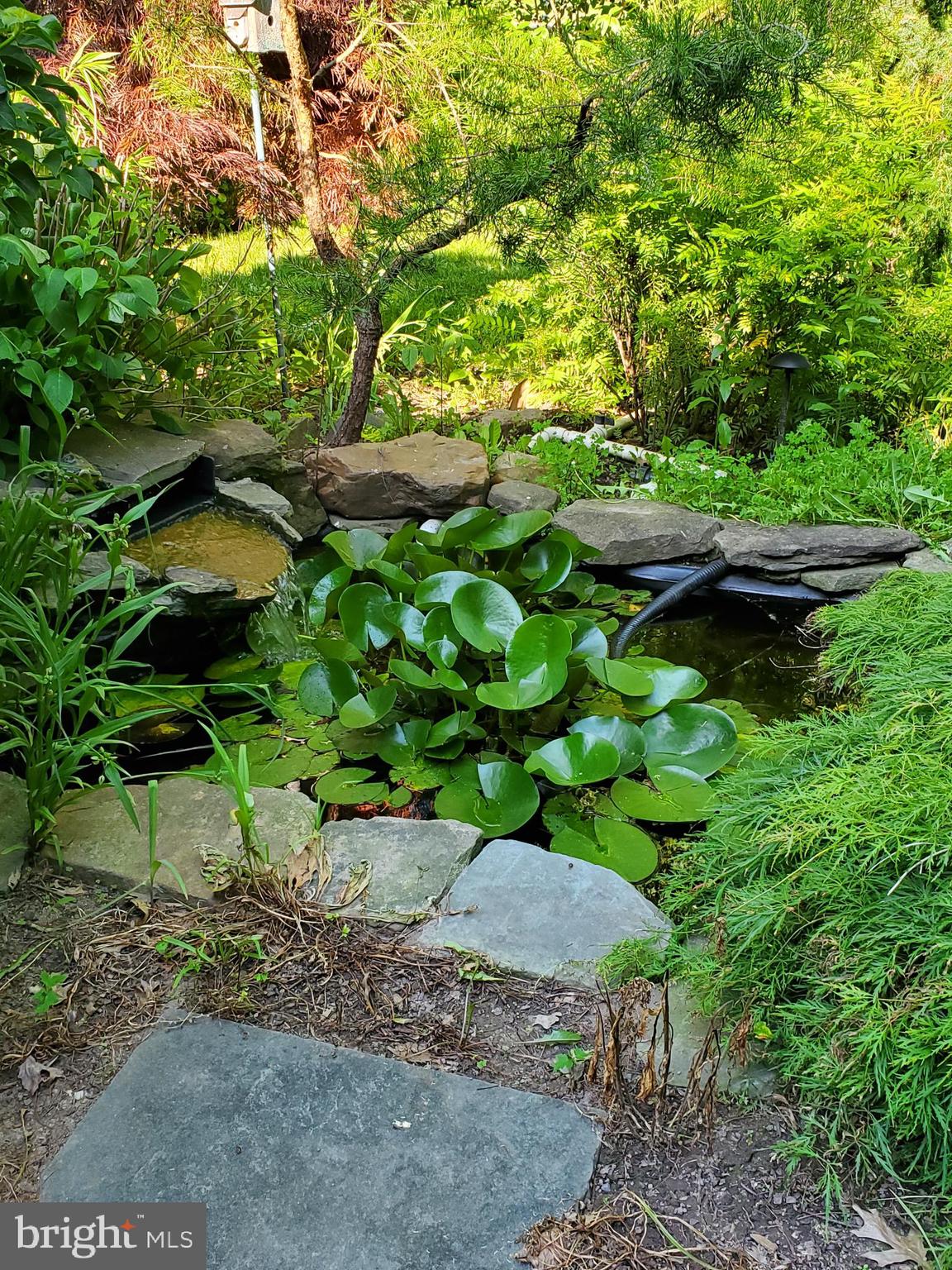 ABINGTON WOODS - Residential