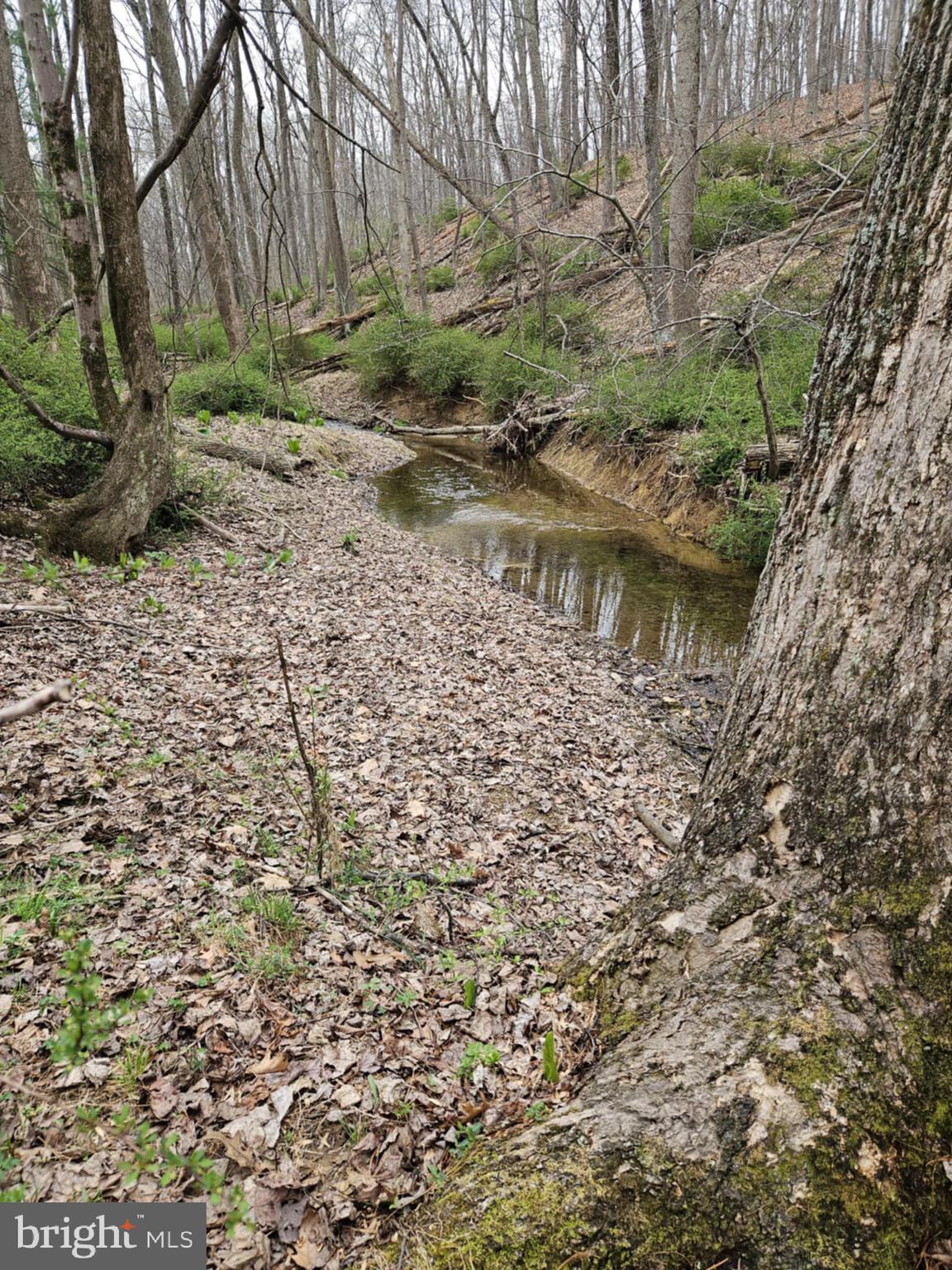 BEAR BRANCH ROAD