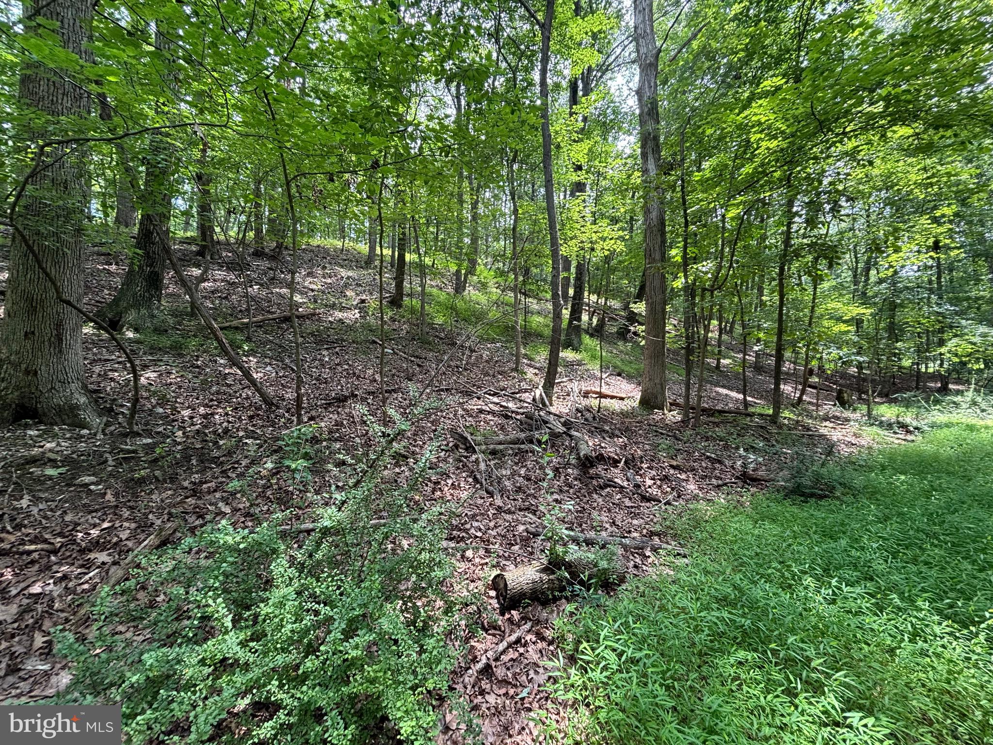 BEAR BRANCH ROAD
