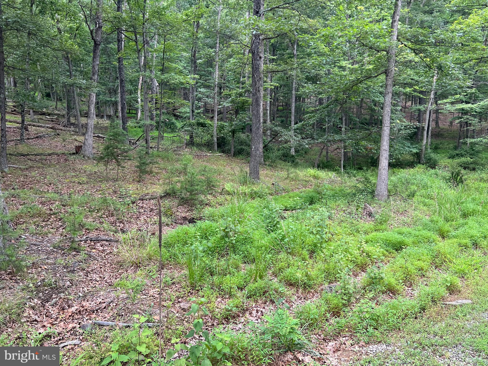 DRY RUN - Residential