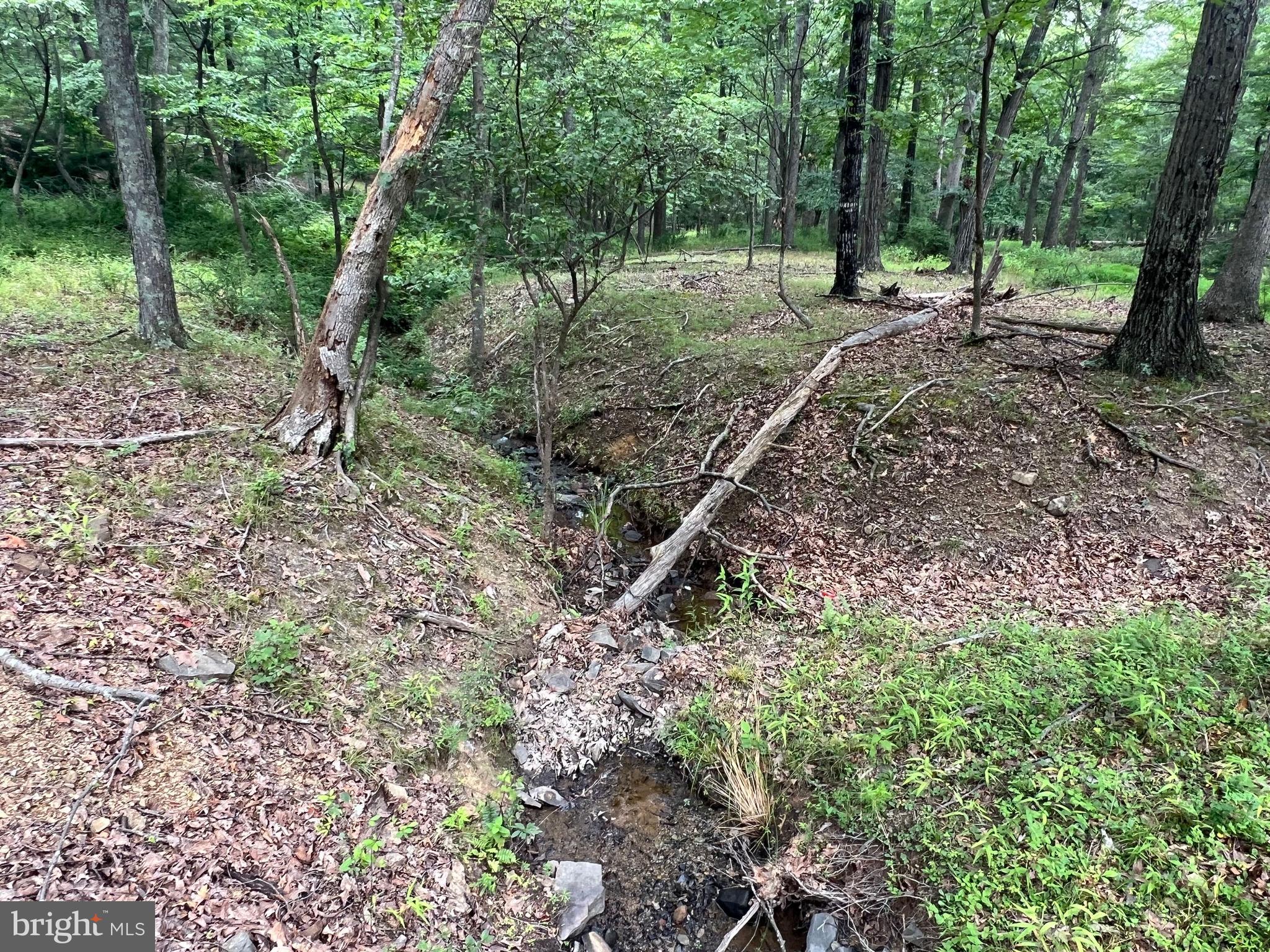 DRY RUN - Residential