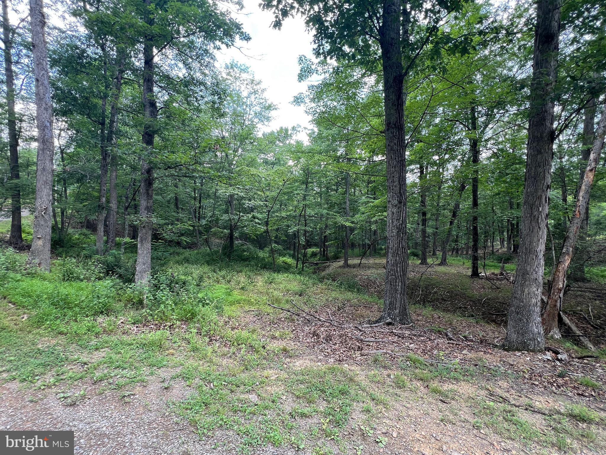 DRY RUN - Residential