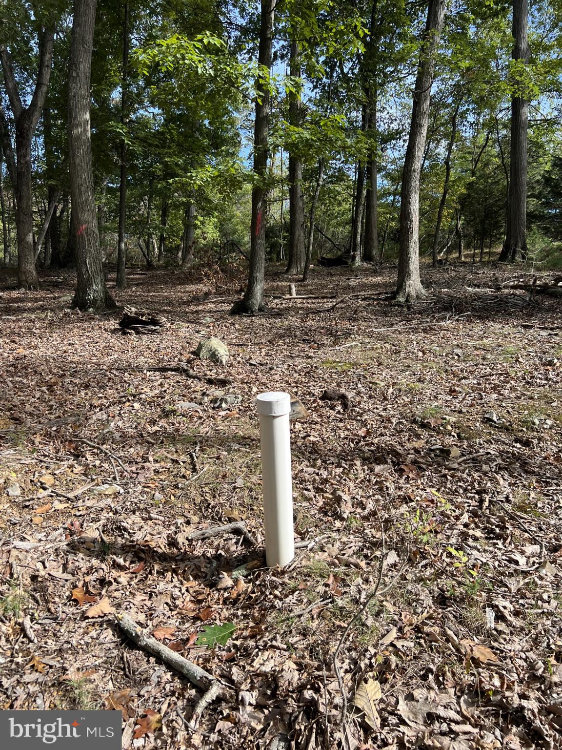 DRY RUN - Residential