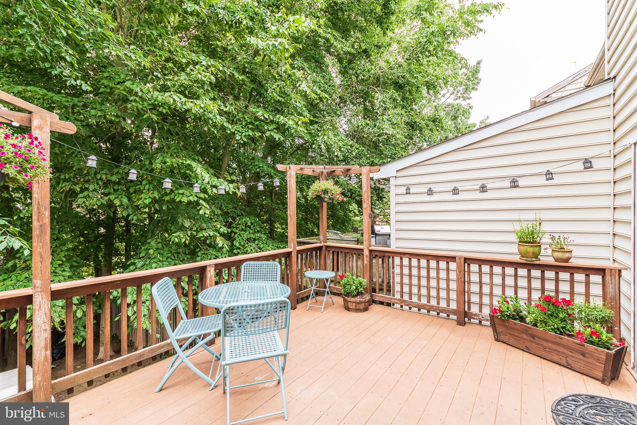 VILLAGE OF THOMAS RUN - Residential