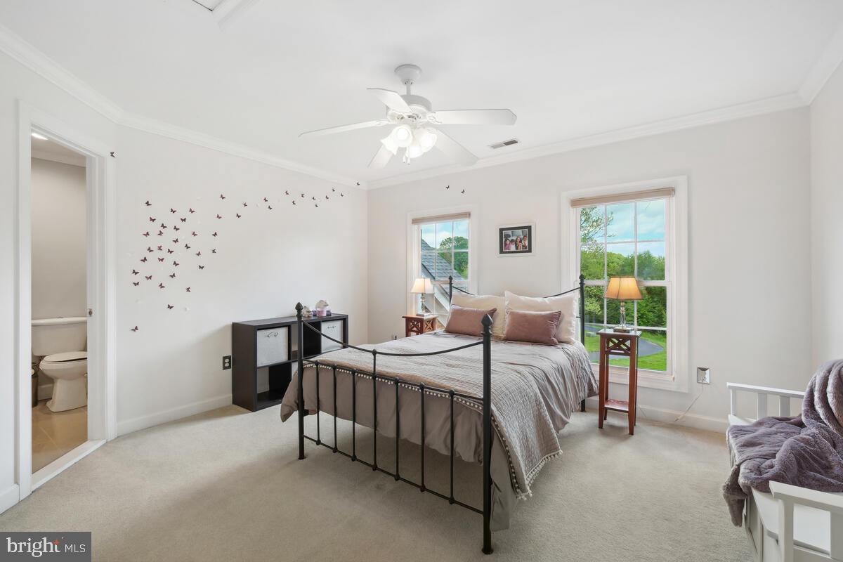 DARNESTOWN KNOLLS - Residential