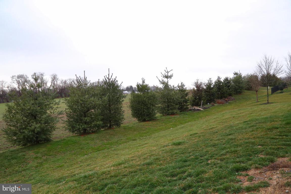 SWEETBRIAR CREEK - Residential