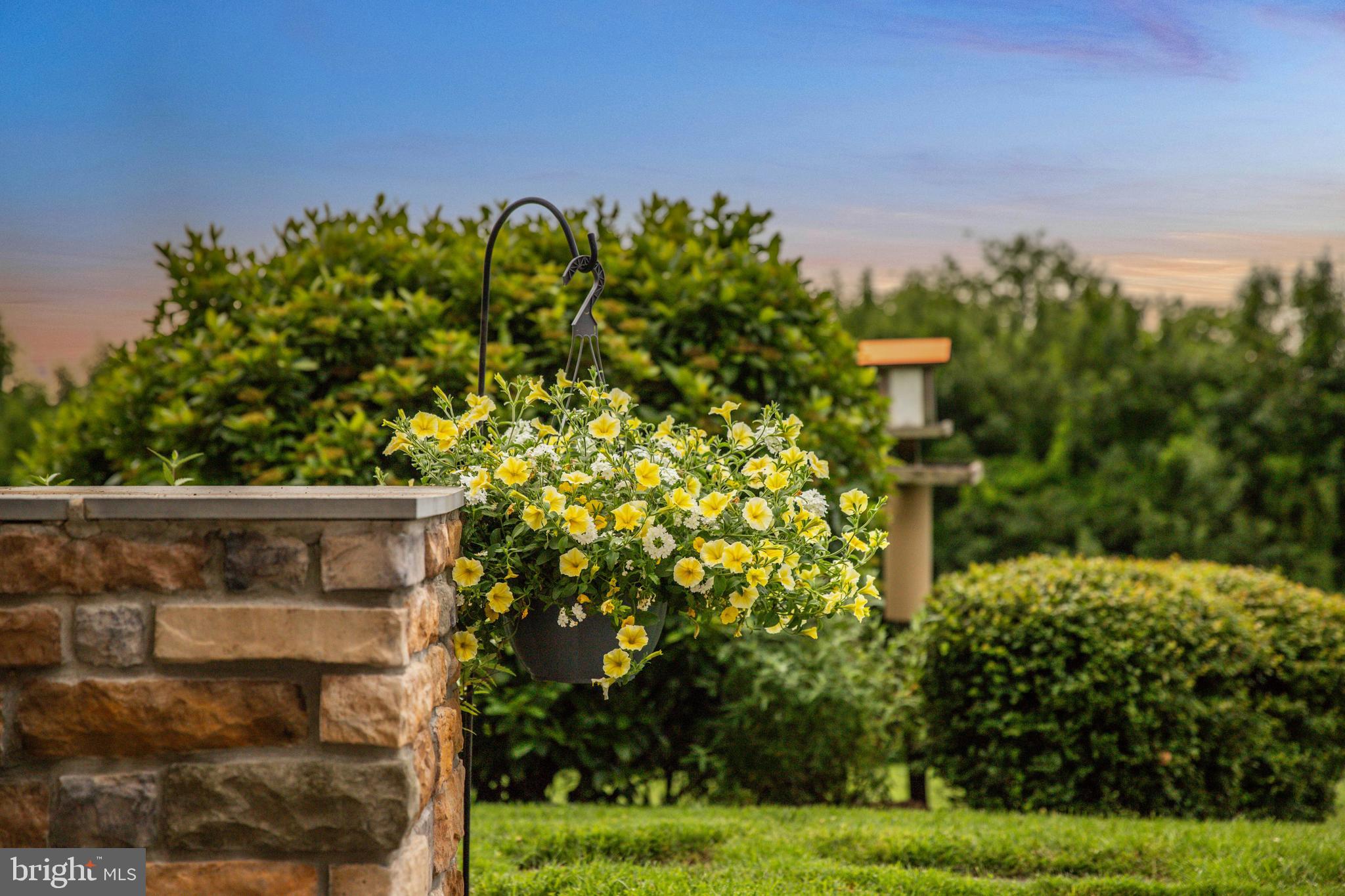 3913 BRIAR KNOLL CIRCLE