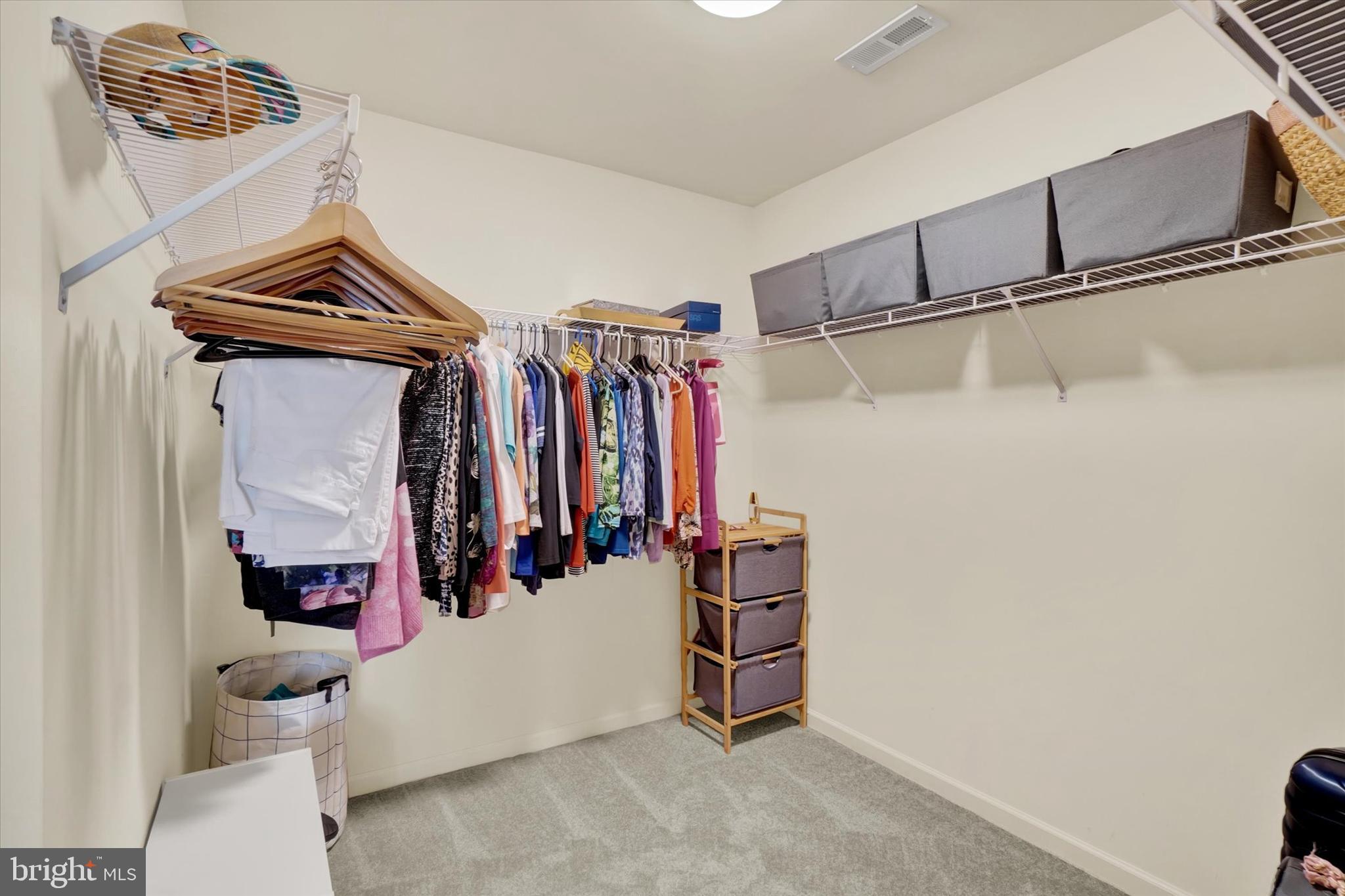 THE PADDOCK @ EQUINE MEADOWS - Residential