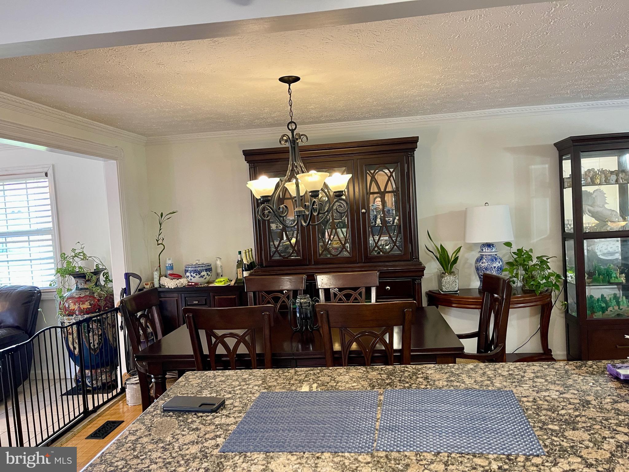 313 SAMANTHA DRIVE