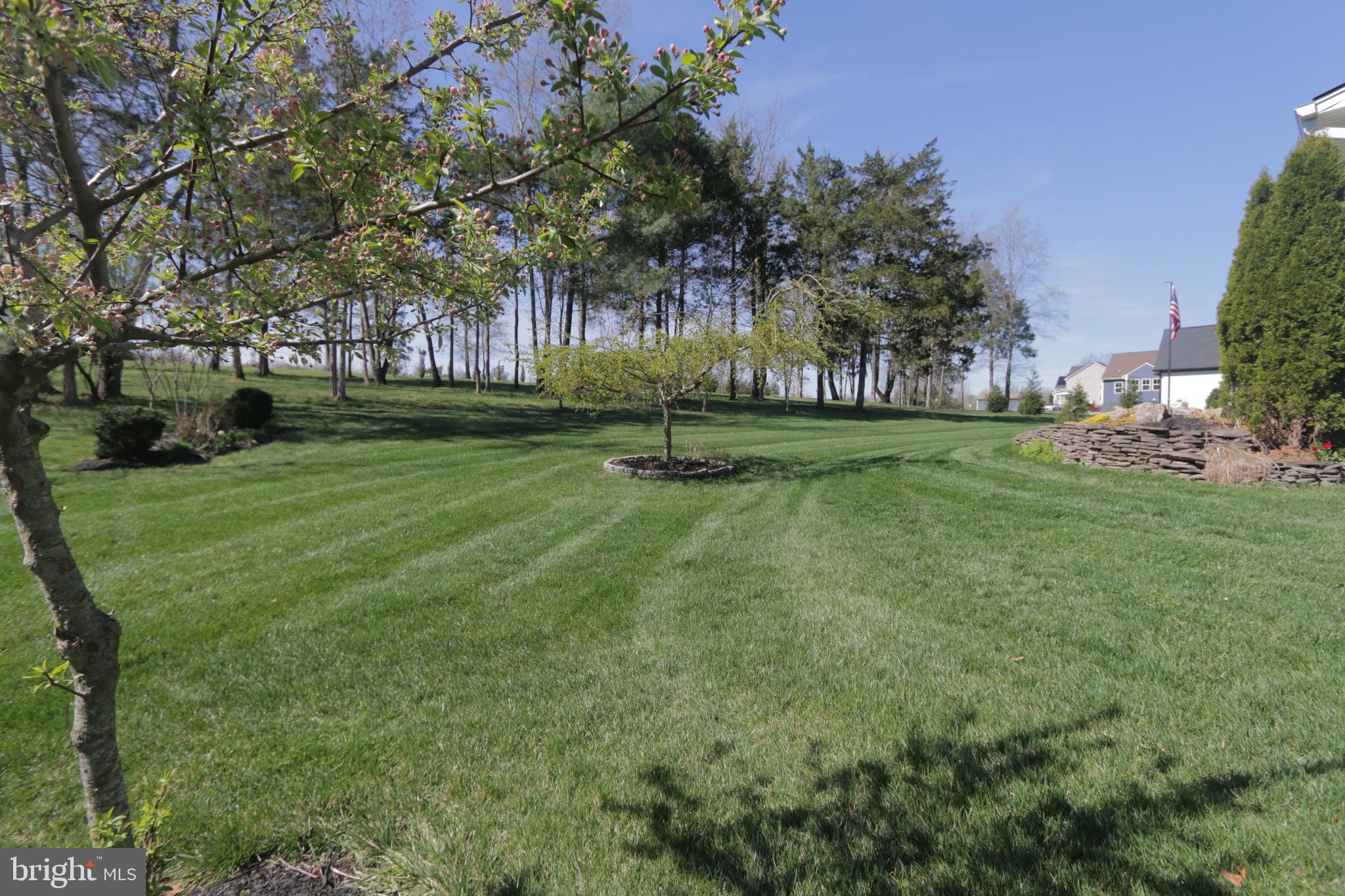 SARATOGA WOODS - Residential