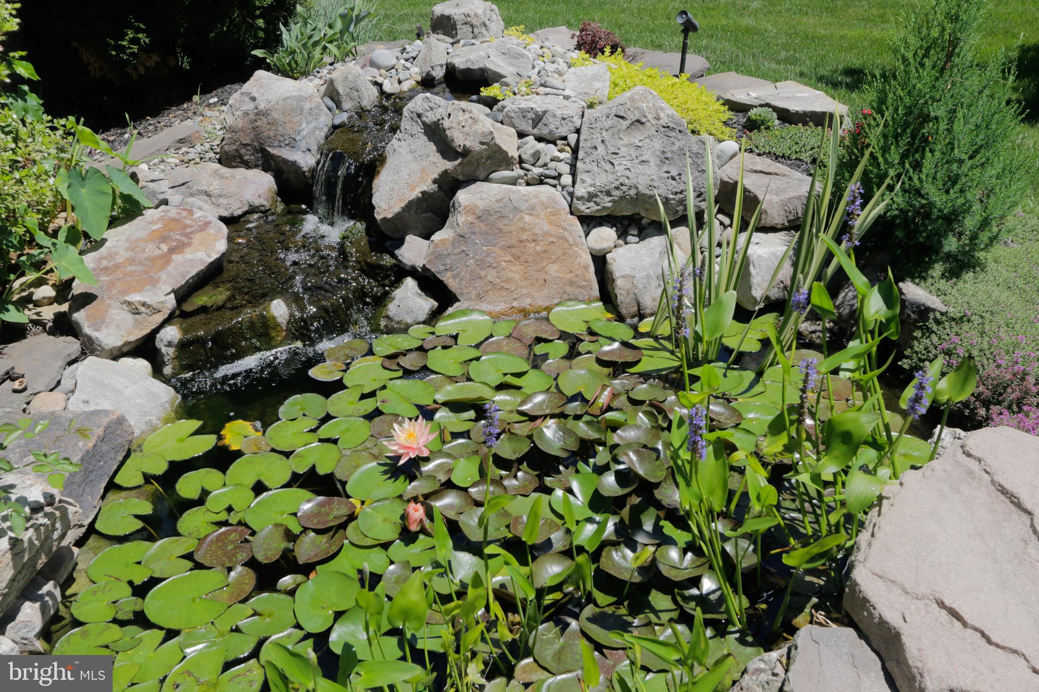 SARATOGA WOODS - Residential