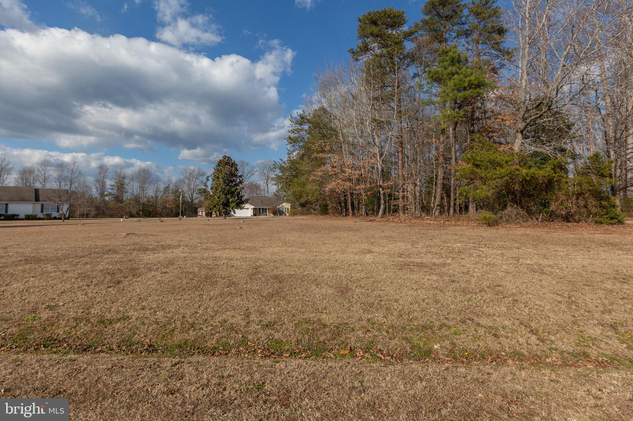 MEADOW VIEW - Residential