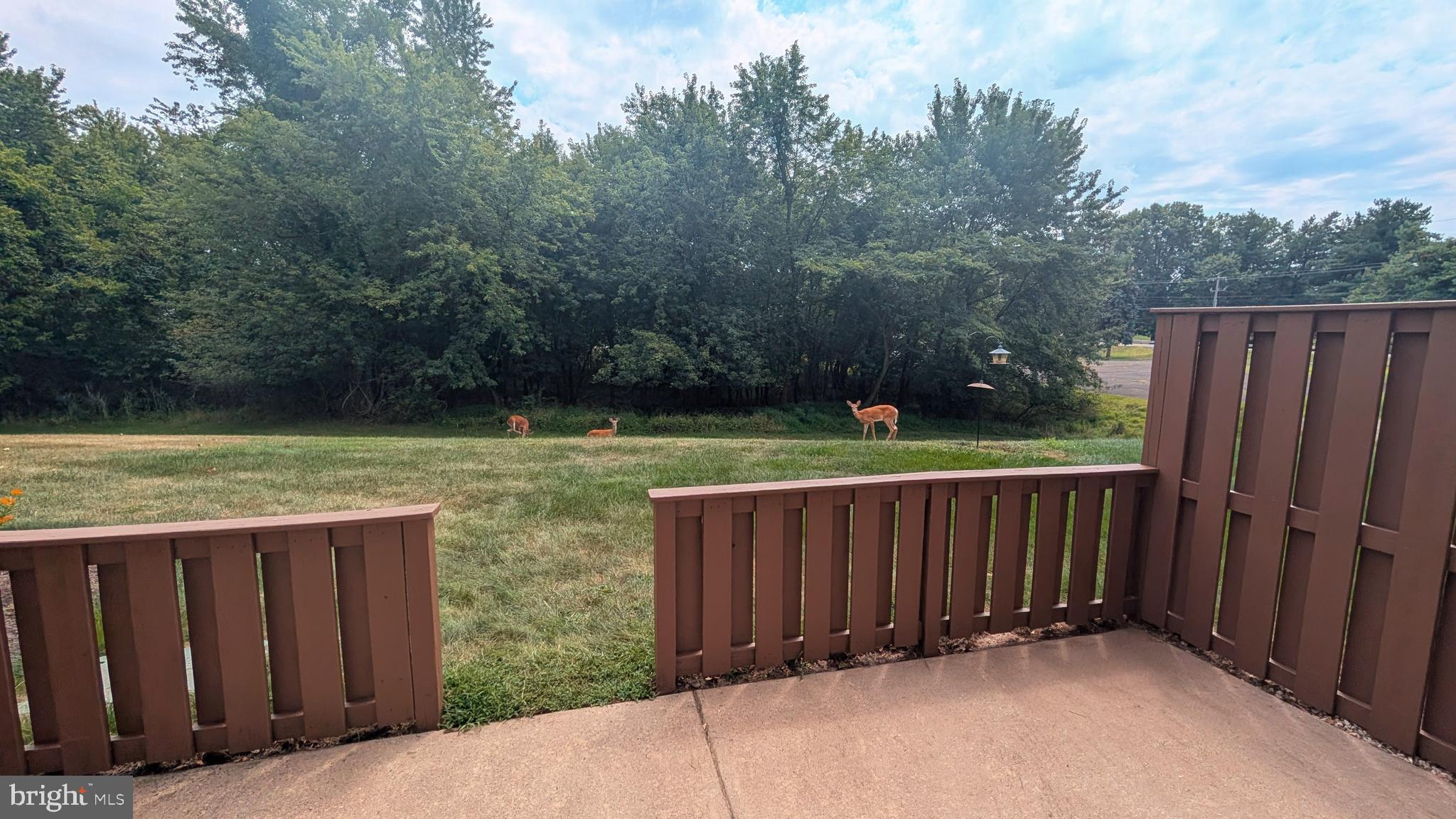 WILLOW BROOK - Residential