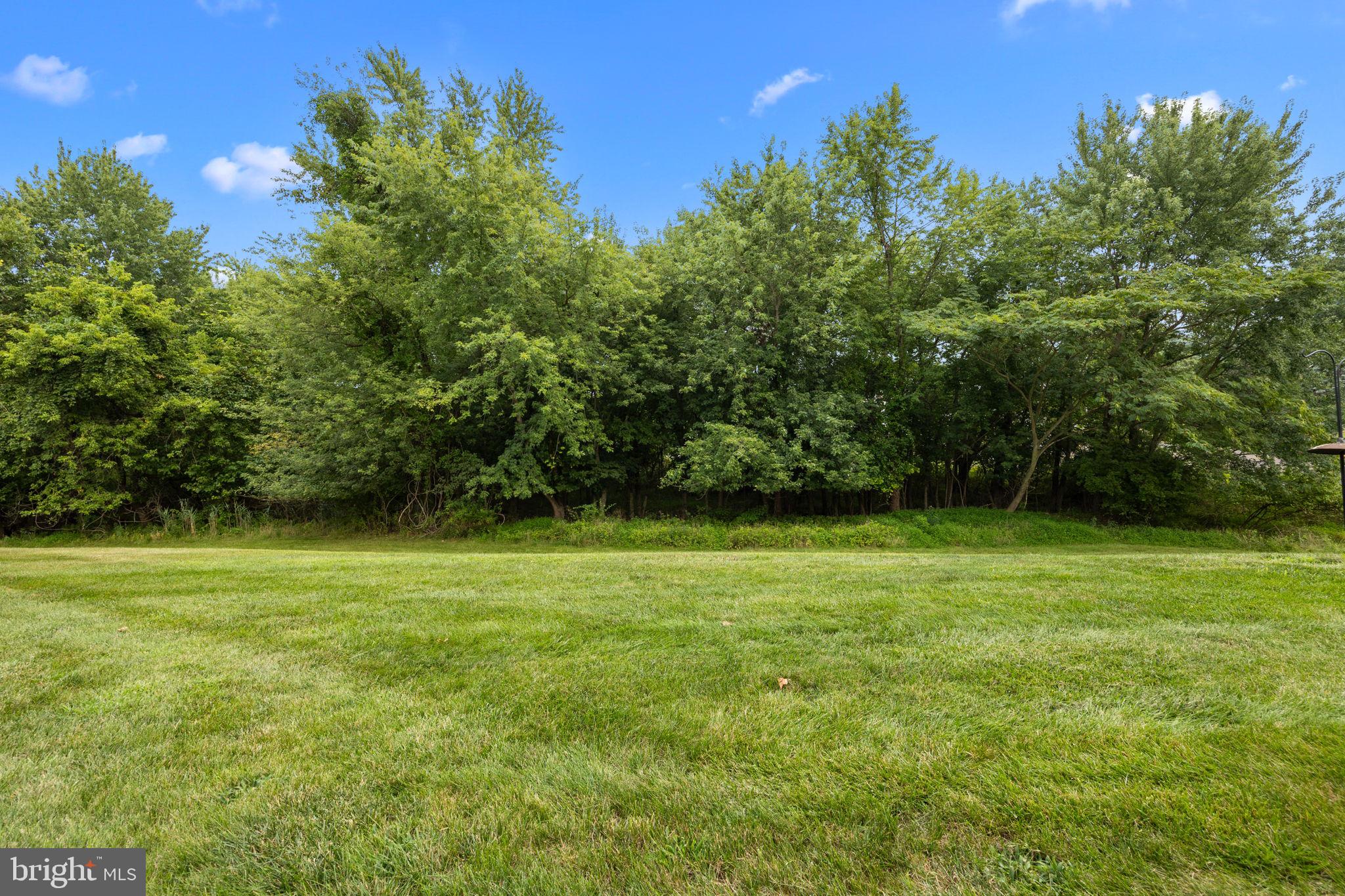 WILLOW BROOK - Residential