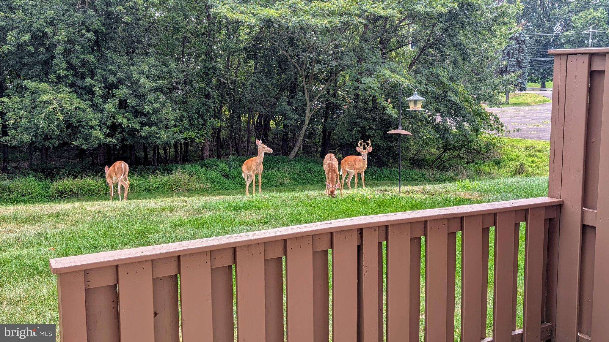 WILLOW BROOK - Residential