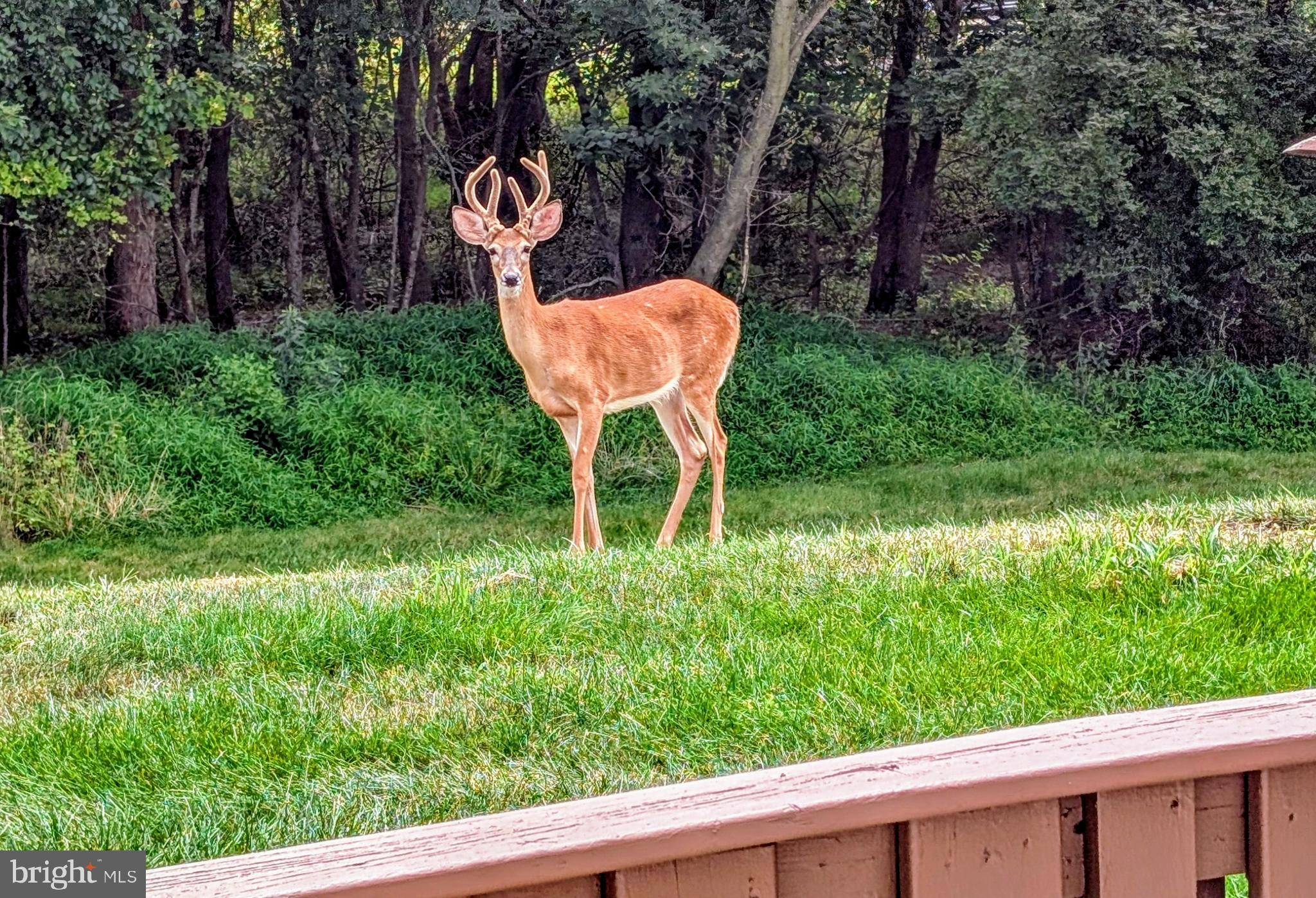 WILLOW BROOK - Residential