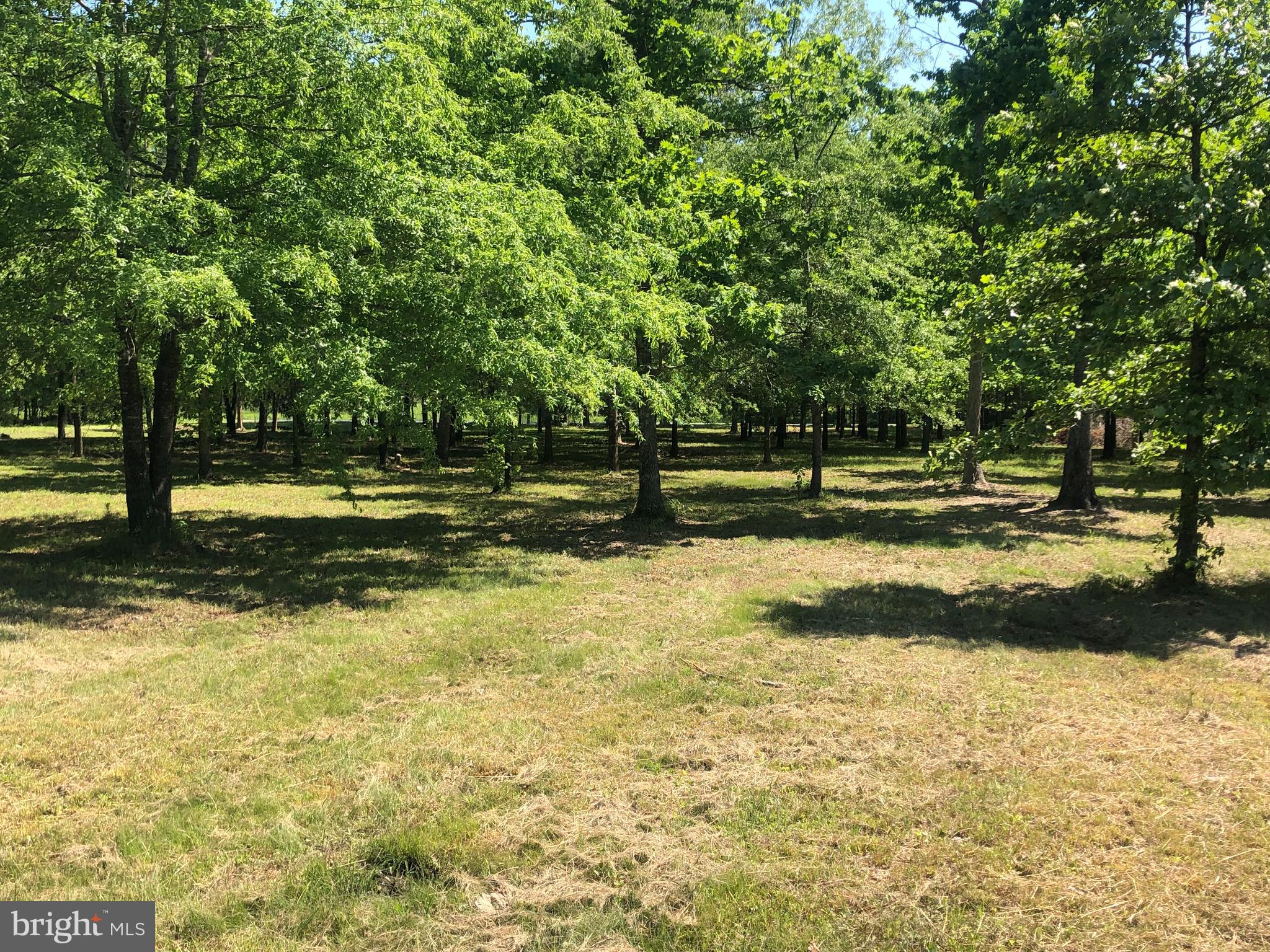 BLANTONS - Residential