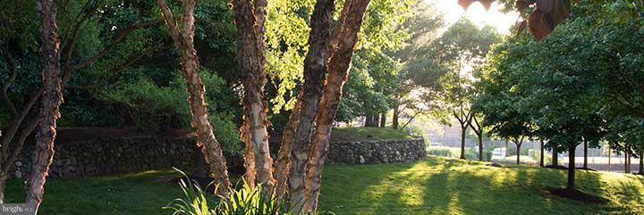 PINEY ORCHARD - Residential Lease