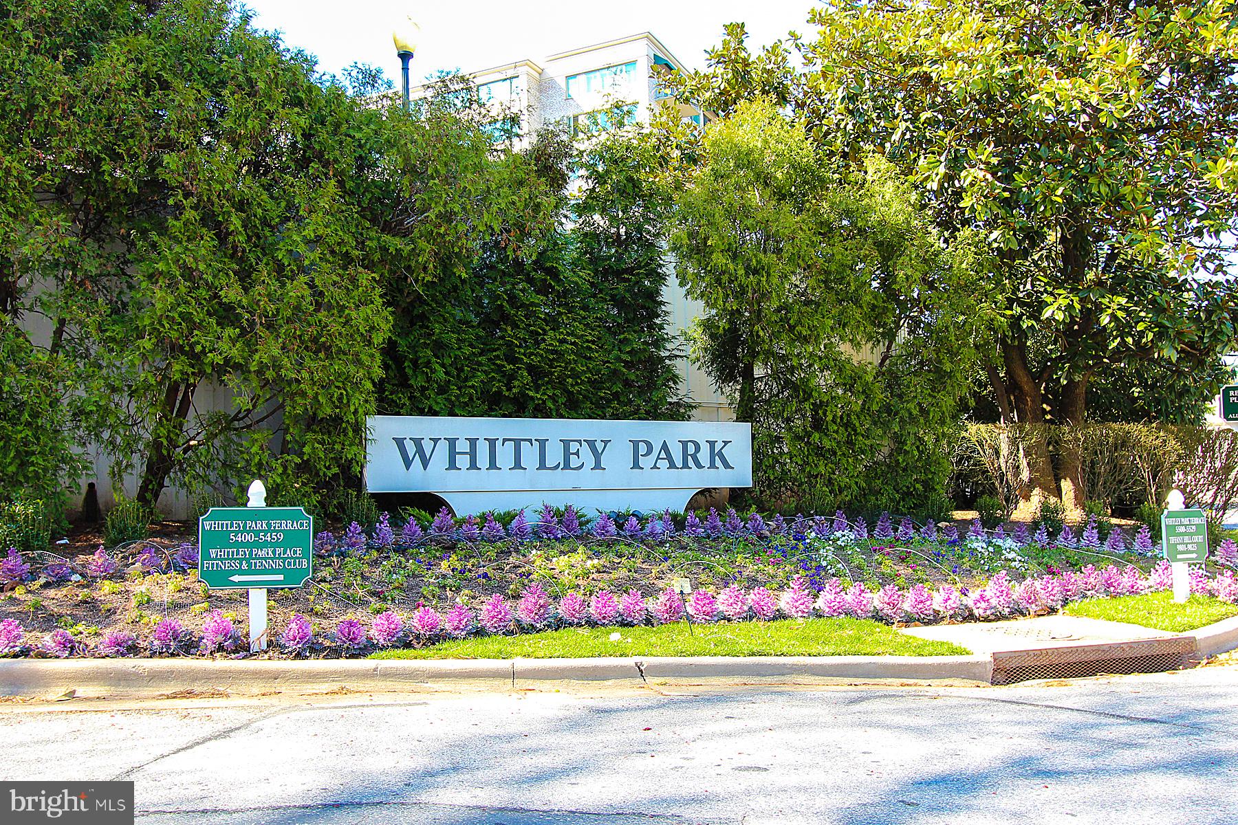 5450 WHITLEY PARK TERRACE 803