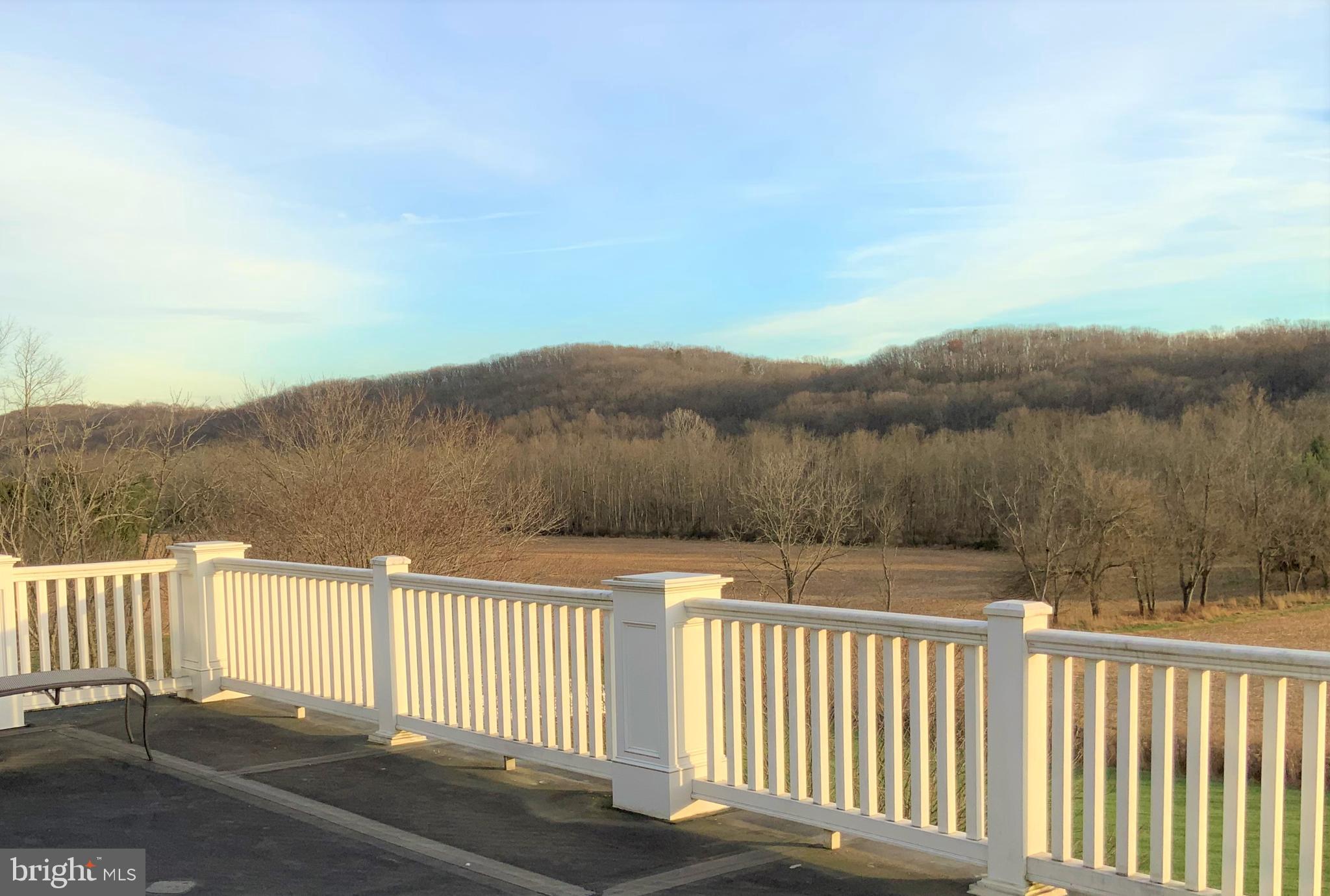 GREENSPRING VALLEY - Residential