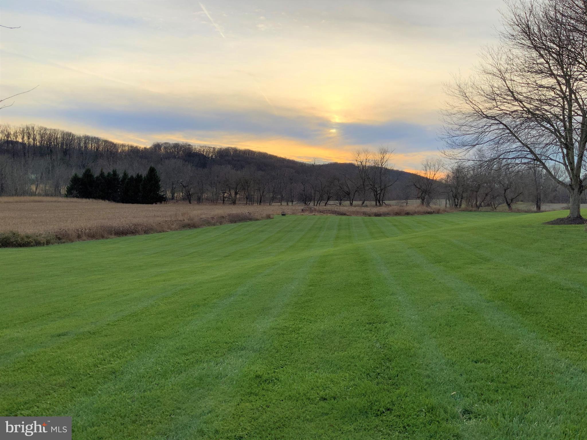 GREENSPRING VALLEY - Residential