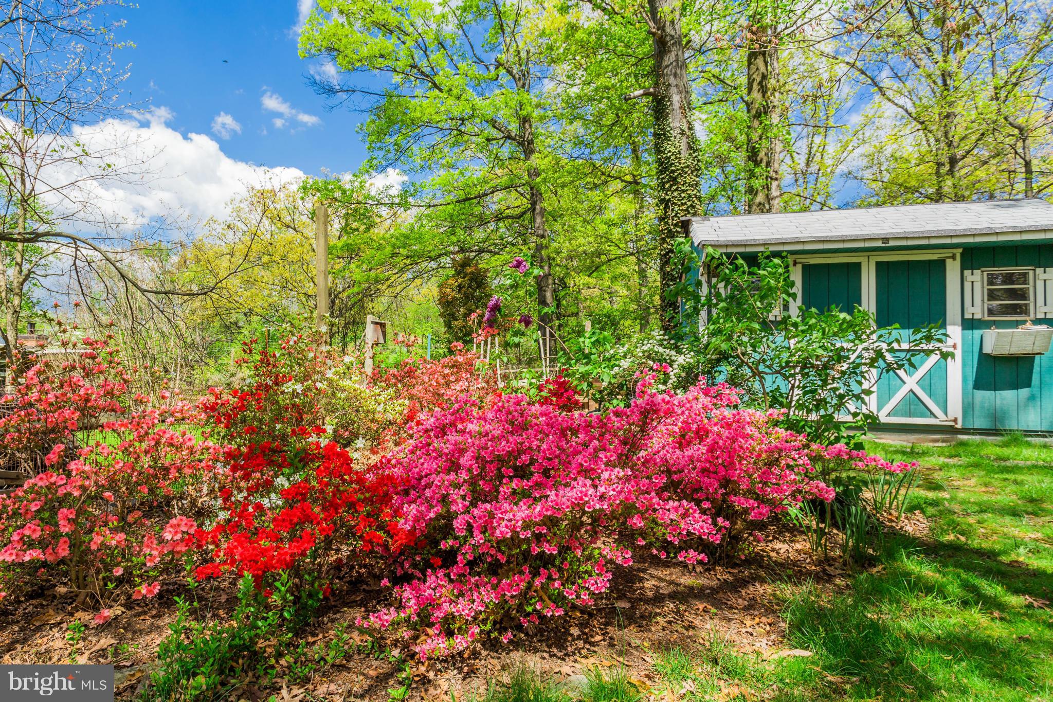 VAN VLECKS - Residential