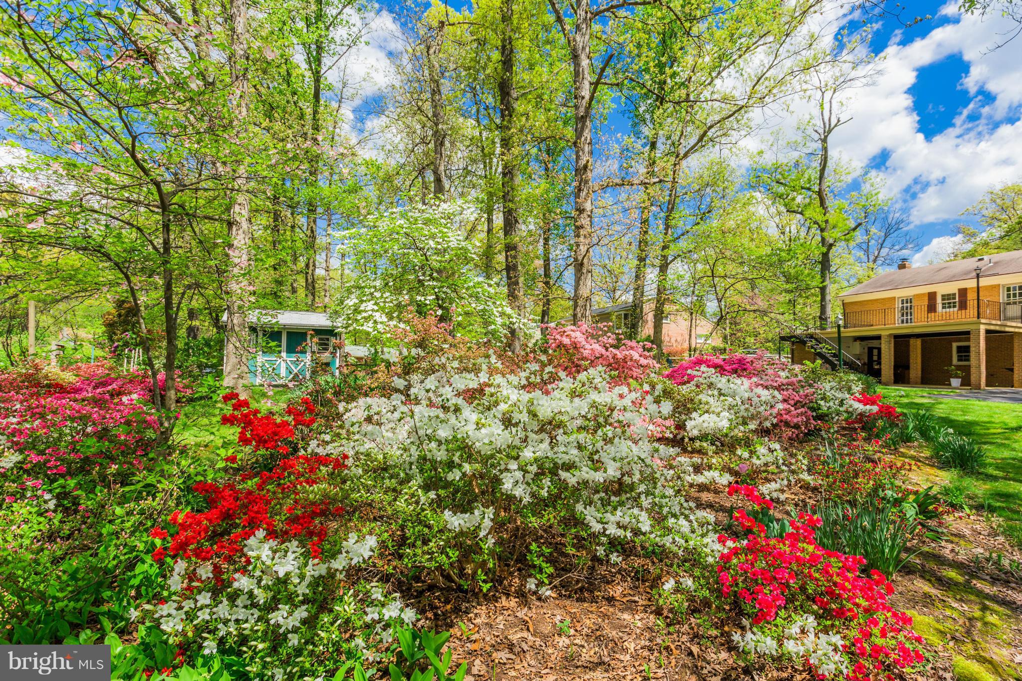 VAN VLECKS - Residential