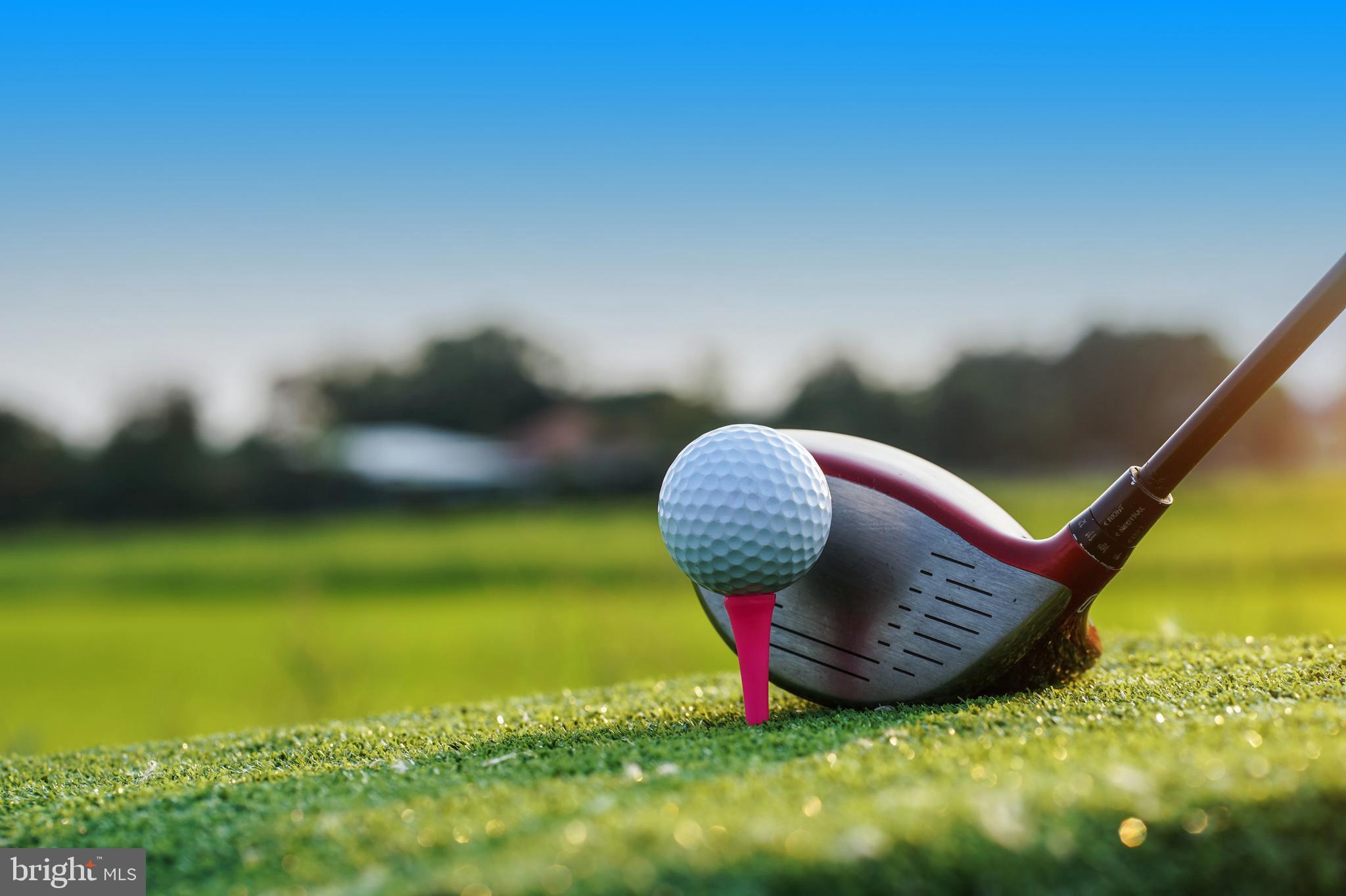 OCEAN PINES - TEAL BAY - Residential