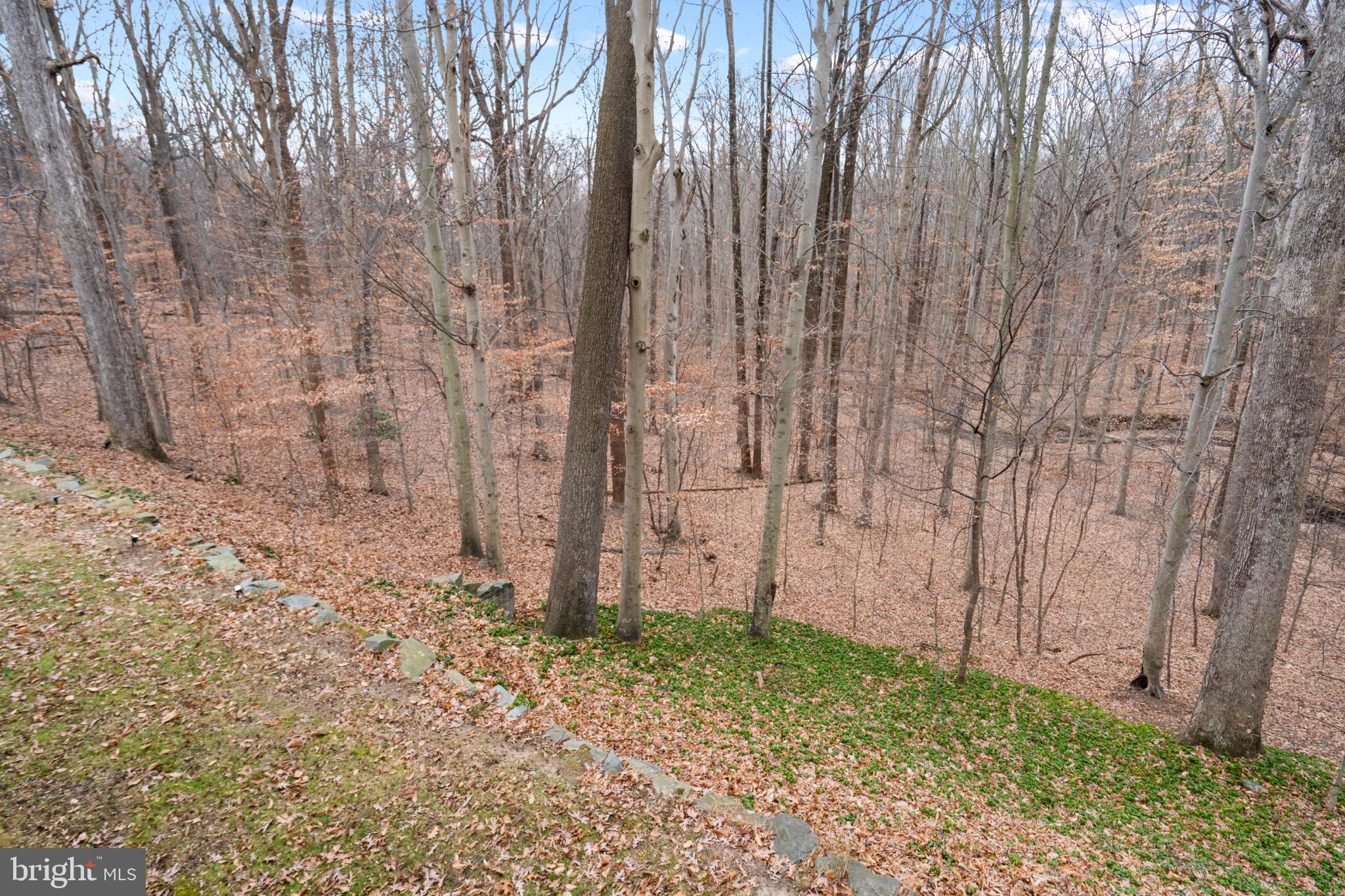 COLLEGE GARDENS - Residential