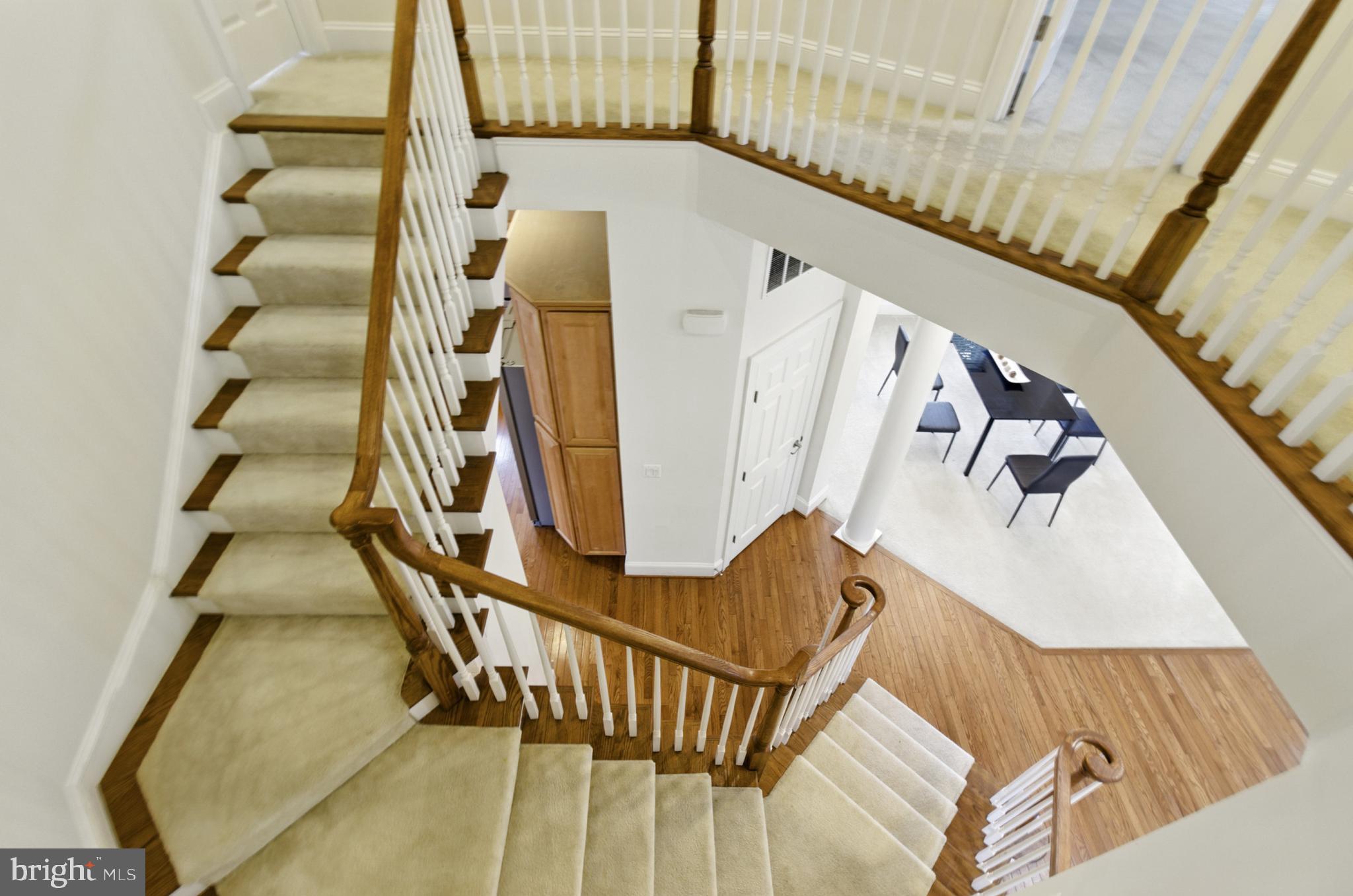 CHESTNUT LODGE - Residential