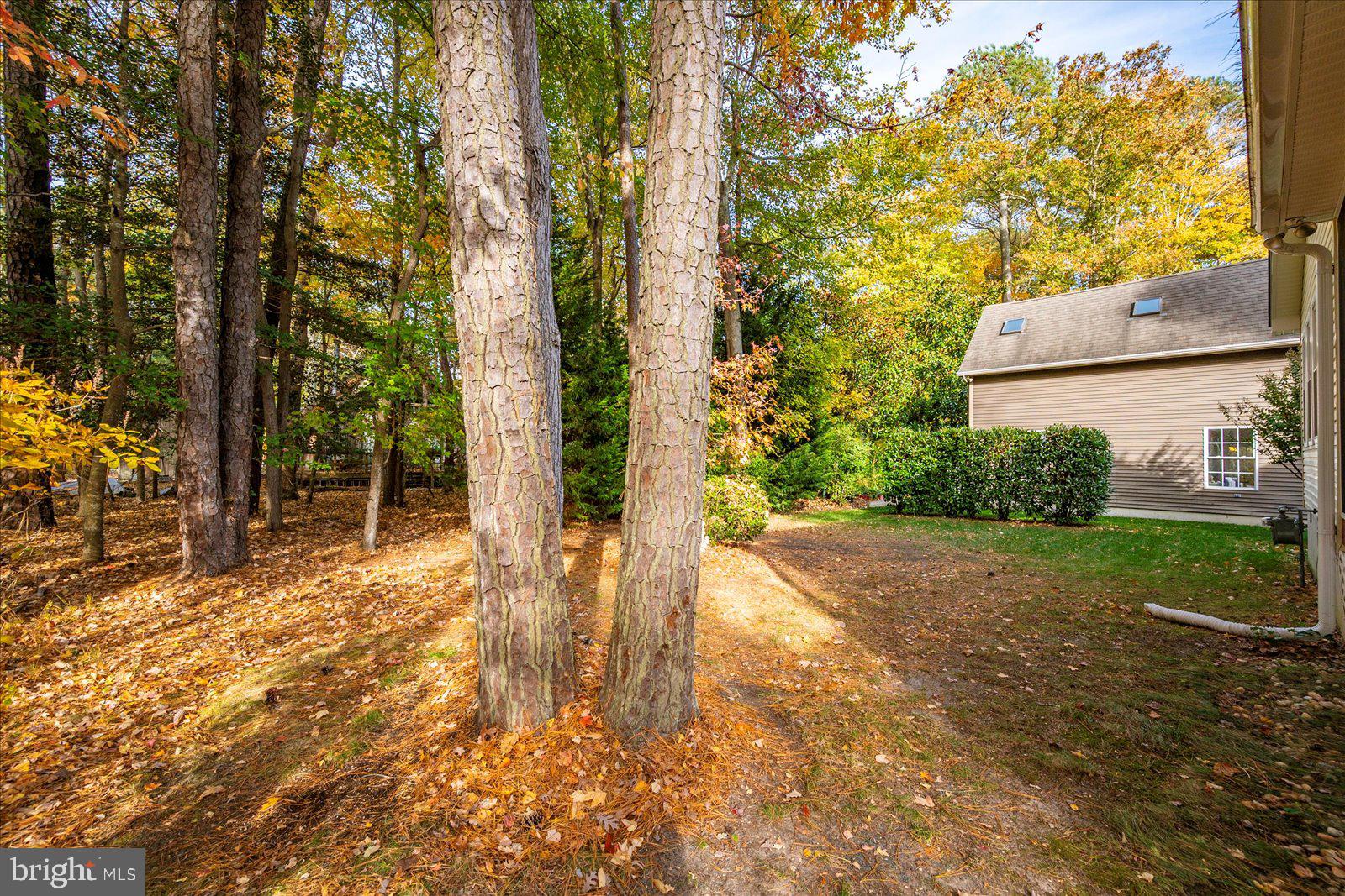 OCEAN PINES - SHERWOOD FOREST - Residential