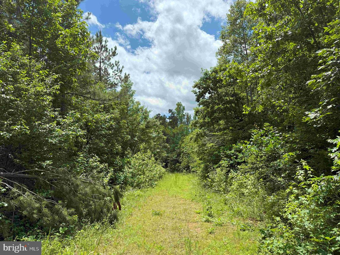 TWIN BRIDGE ROAD (RT. 623) (TRACT: BK3233-1)