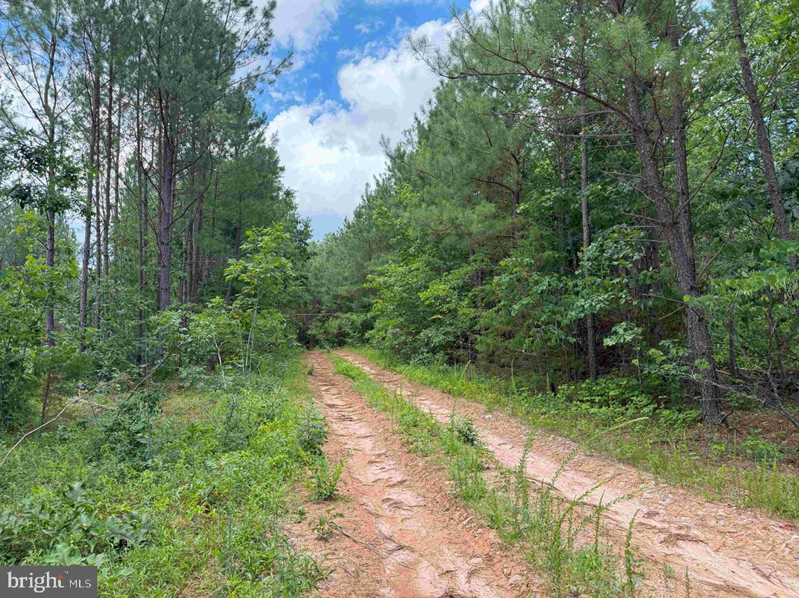 TWIN BRIDGE ROAD (RT. 623) (TRACT: BK3233-1)