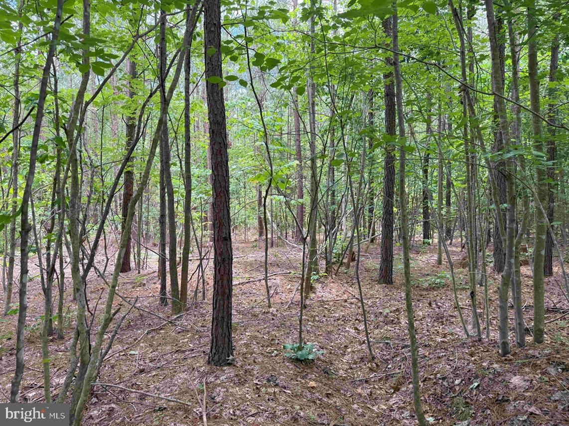 TWIN BRIDGE ROAD (RT. 623) (TRACT: BK3233-1)