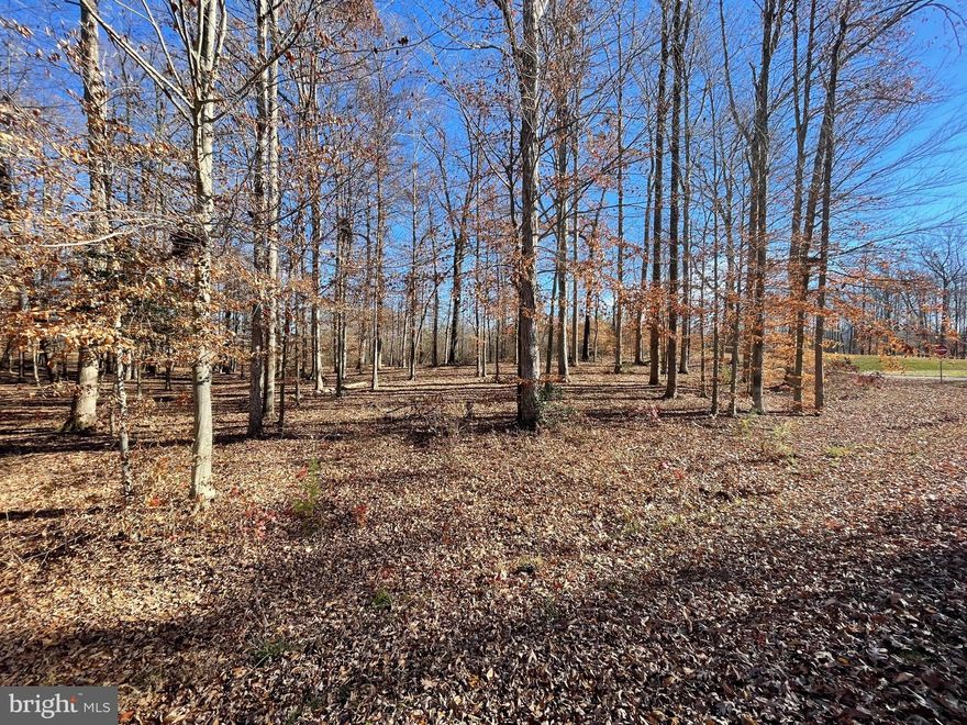 Year round water views! Design and build your dream home on this beautiful lake access lot, located in Noah's Landing subdivision. Soil work on file for a 3 bedroom conventional septic. Noah's Landing offers many amenities to include a picnic area, sandy beach, boat ramp, tennis court and covered boat slips that are available for purchase through the Property Owners Association. Located on the private side of Lake Anna!
