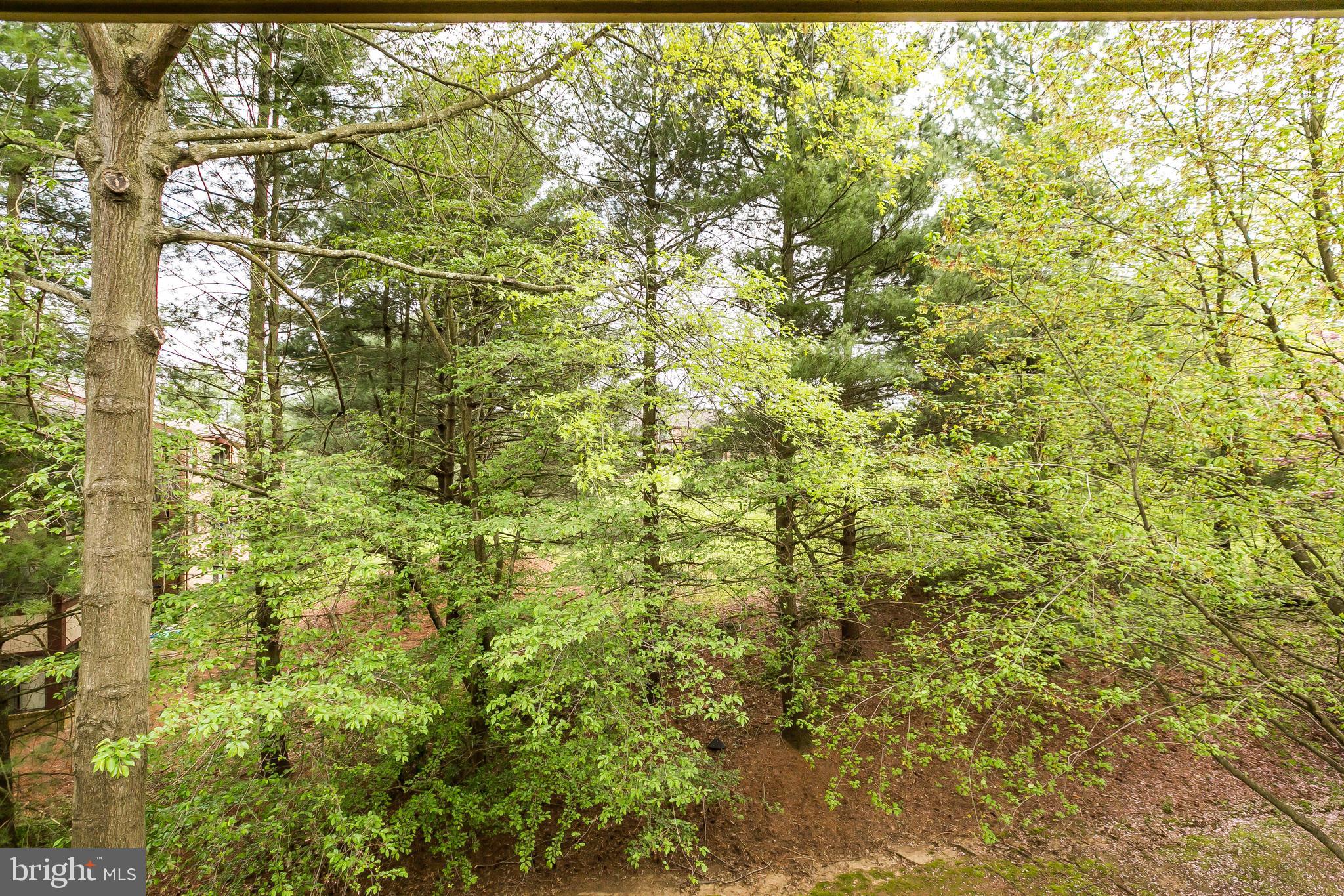 RAINFLOWER/LOVETON - Residential