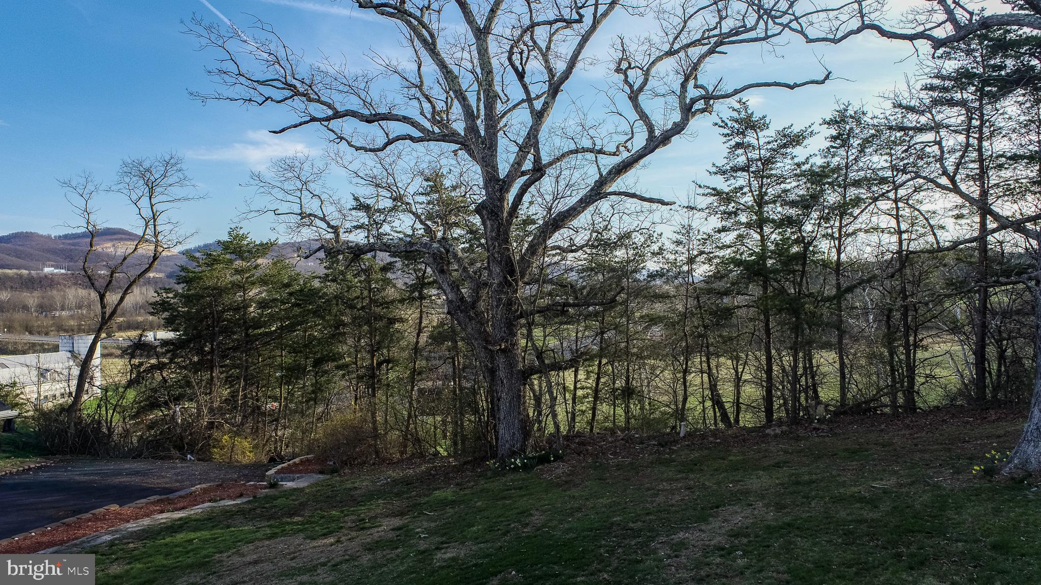 CRESAPTOWN - Residential