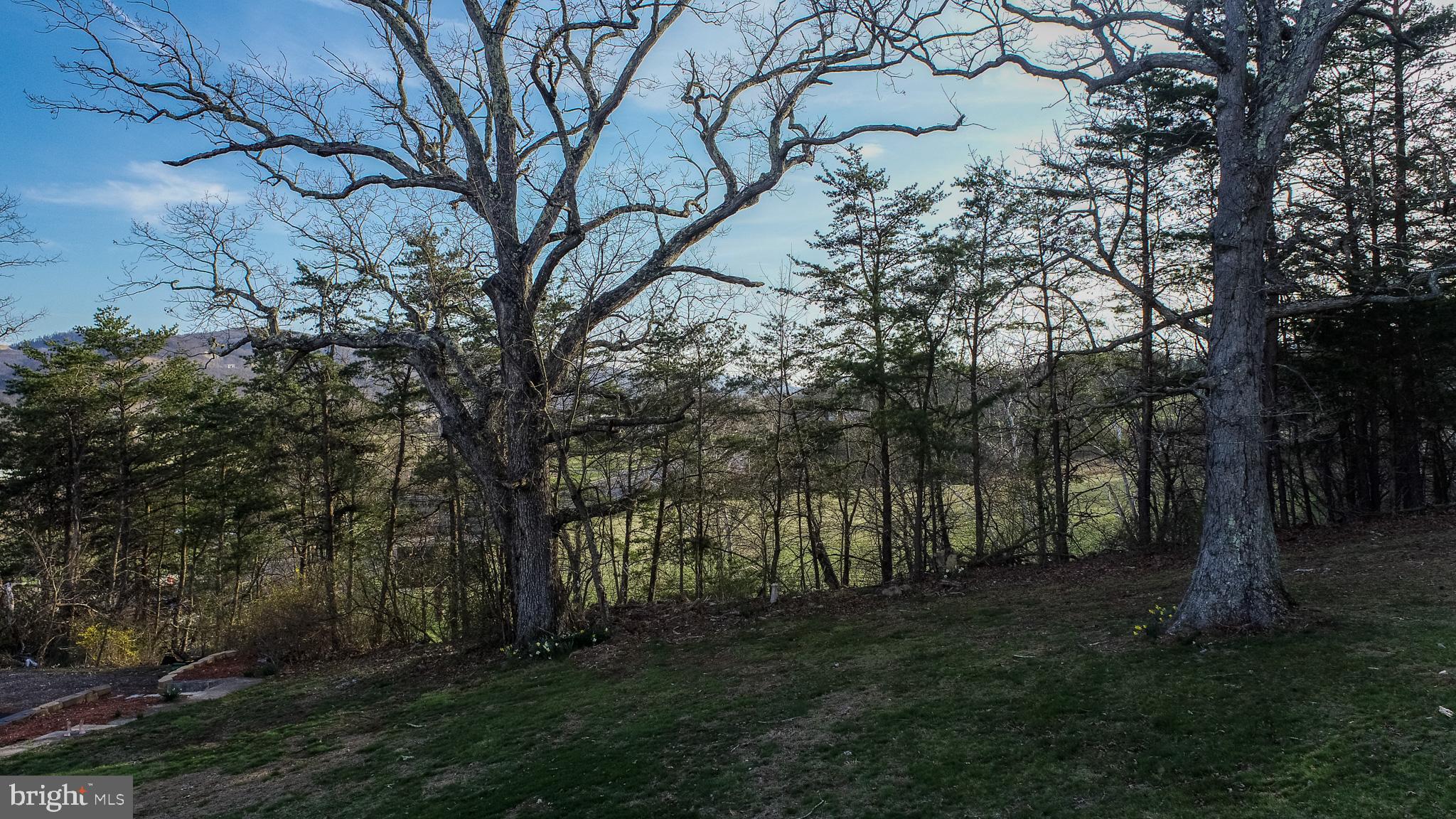 CRESAPTOWN - Residential