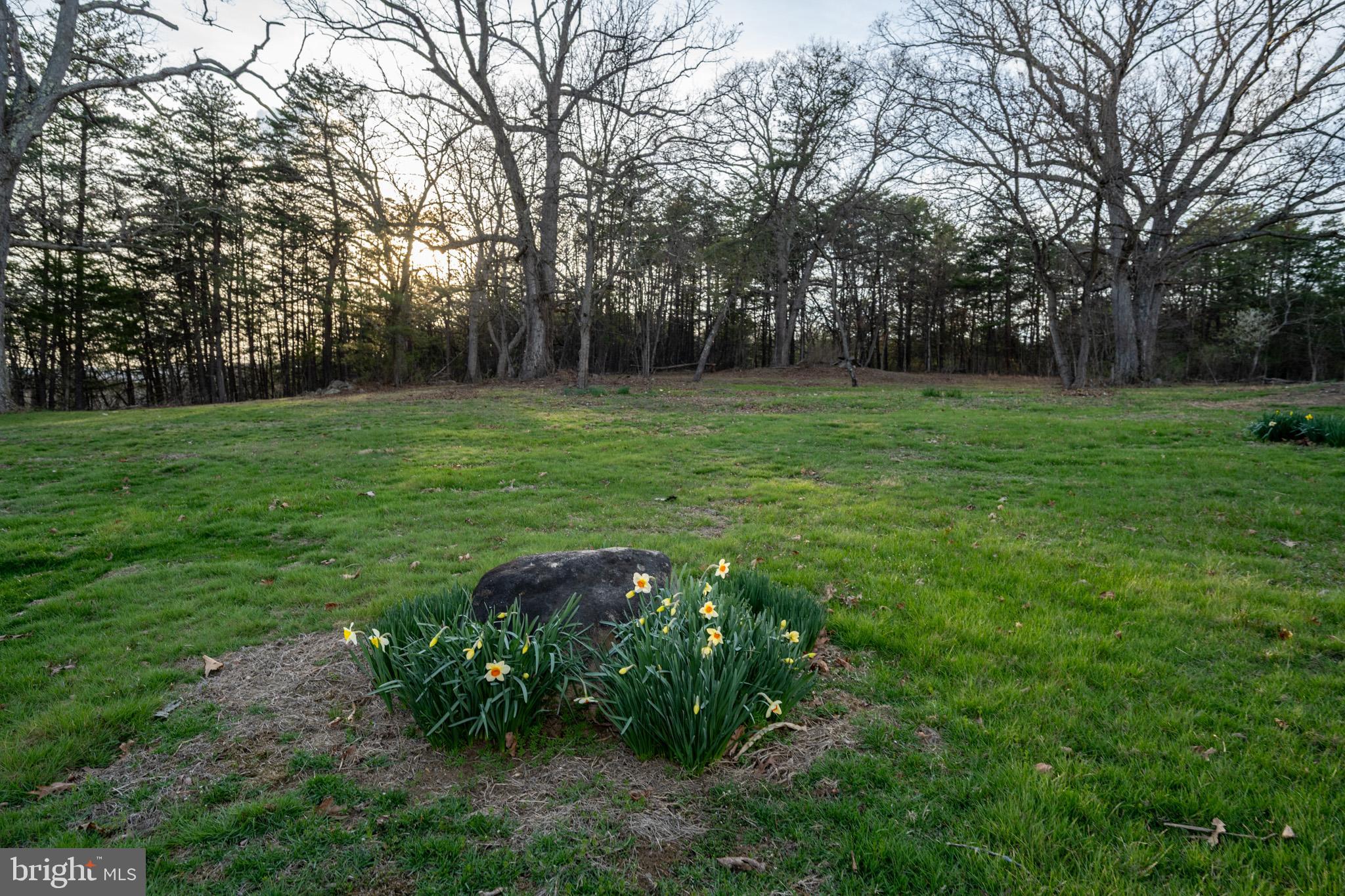 CRESAPTOWN - Residential