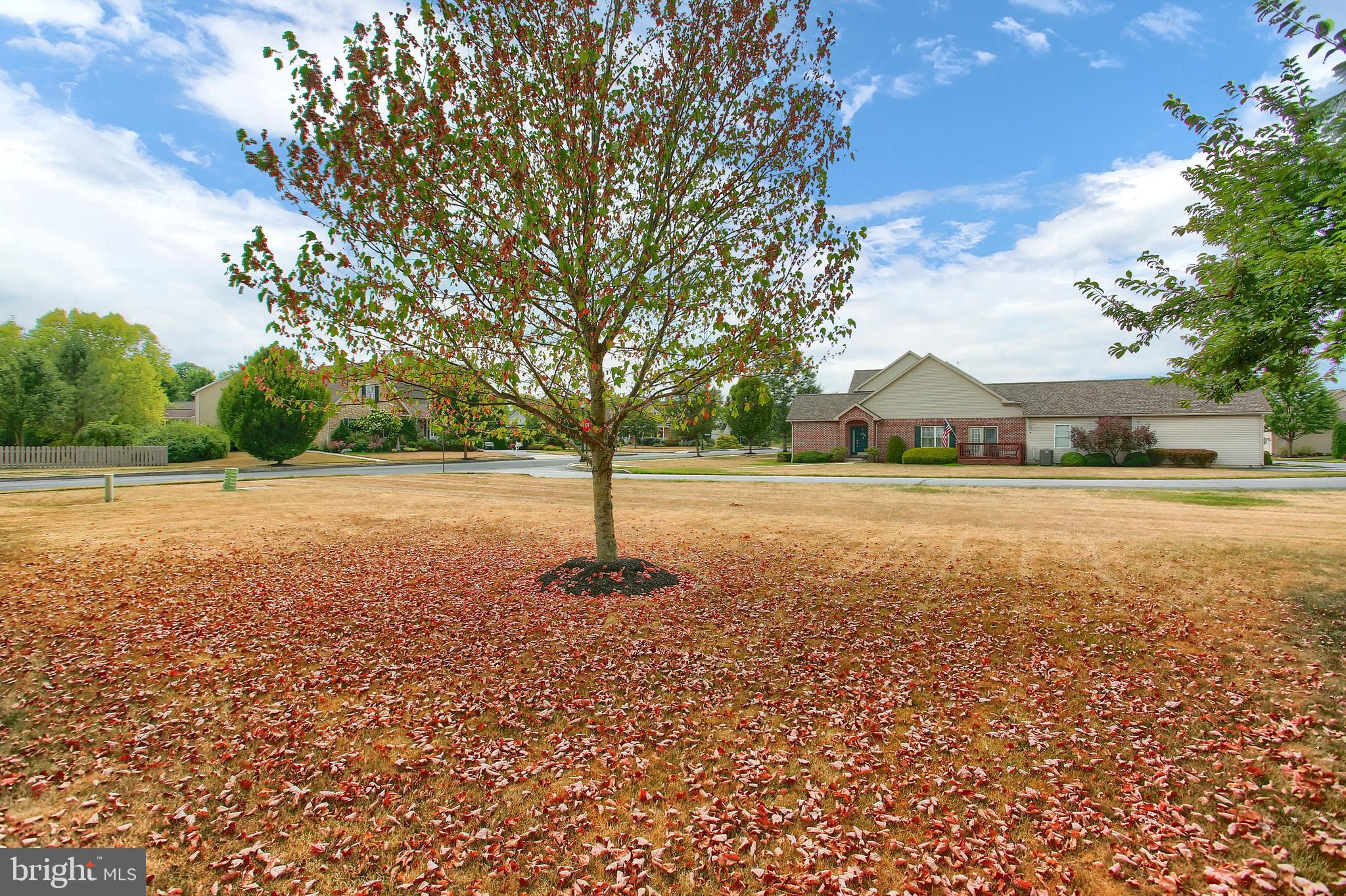 DICKINSON GREEN - Residential