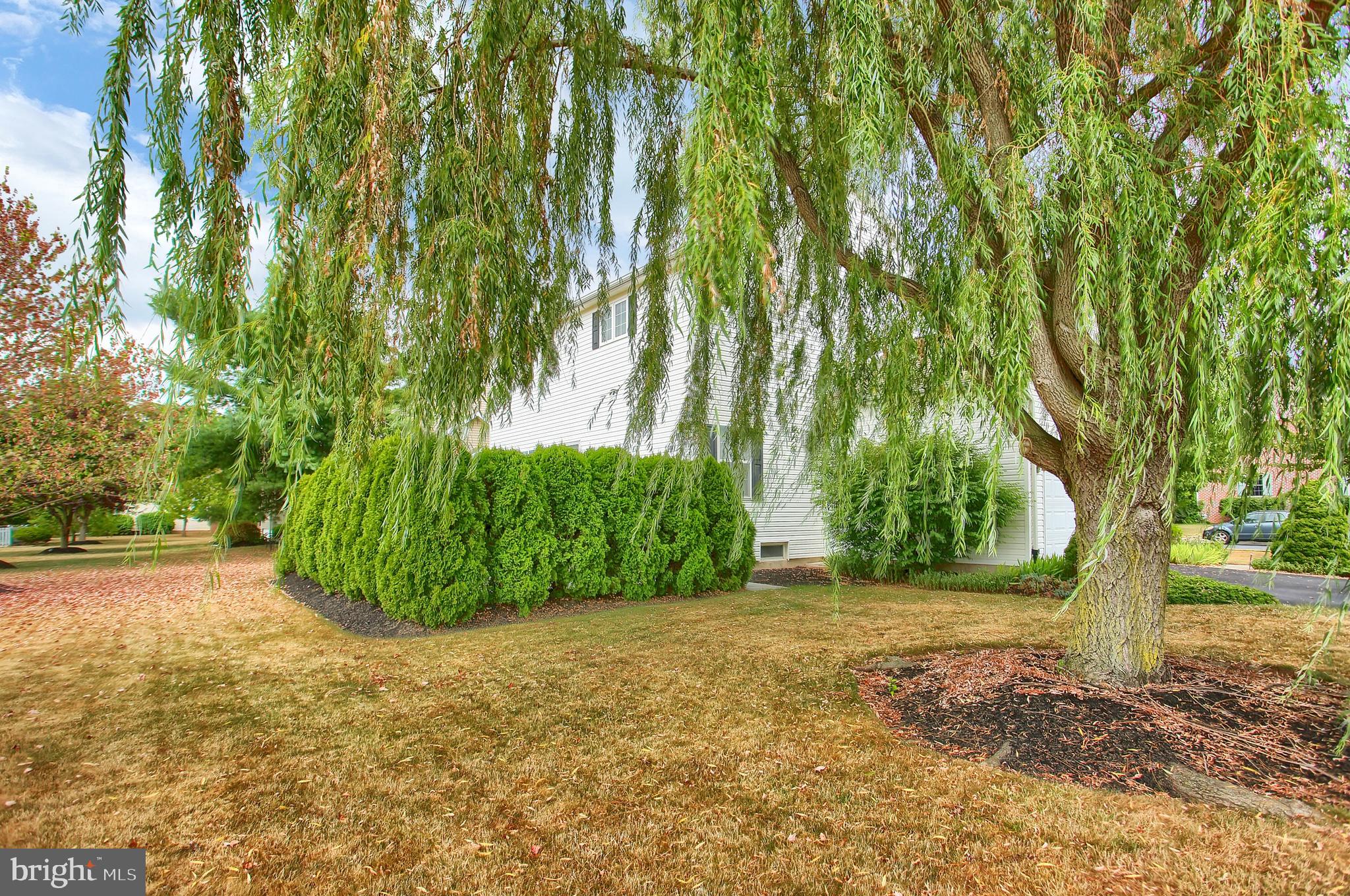 DICKINSON GREEN - Residential