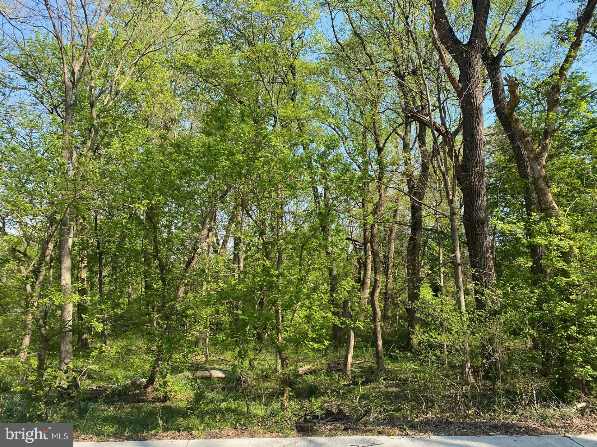 CHEVY CHASE - Residential Lease