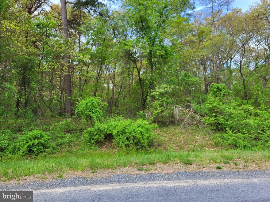 JUST SHY OF AN ACRE THIS WOODED, COUNTRY LOT IN SMALL RURAL SUBDIVISION SEEKS NEW OWNER.  BACKS TO MORE WOODS FOR ADDED PRIVACY.  ROOM FOR HOUSE, GARDENS, OUTBUILDING.     NO COV/REST.  CLOSE TO THE TOWN OF FEDERALSBURG AS WELL AS TAX FREE  DE SHOPPING.  NO BUILDER TIE IN SO  COME TO THE COUNTRY AND BRING YOUR PLANS AND YOUR BUILDER.  BUYER TO VERIFY ALL PERC AND PERMIT REQUIREMENTS WITH DORCHESTER COUNTY.  (BRIGHT MAPS MAY SHOW THIS AS FOOKS RD)  PICS TO FOLLOW.
