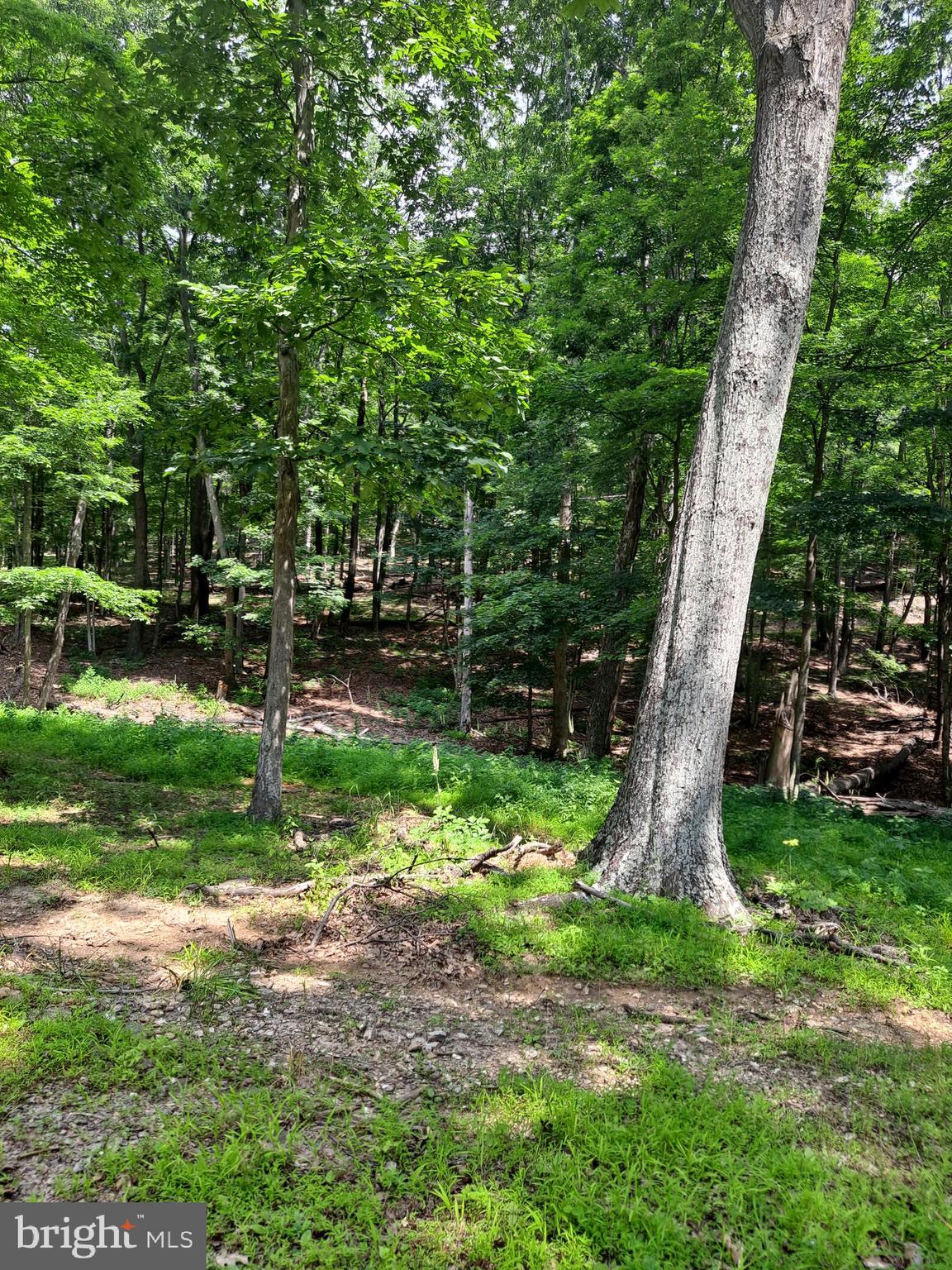 NONE AVAILABLE - Land