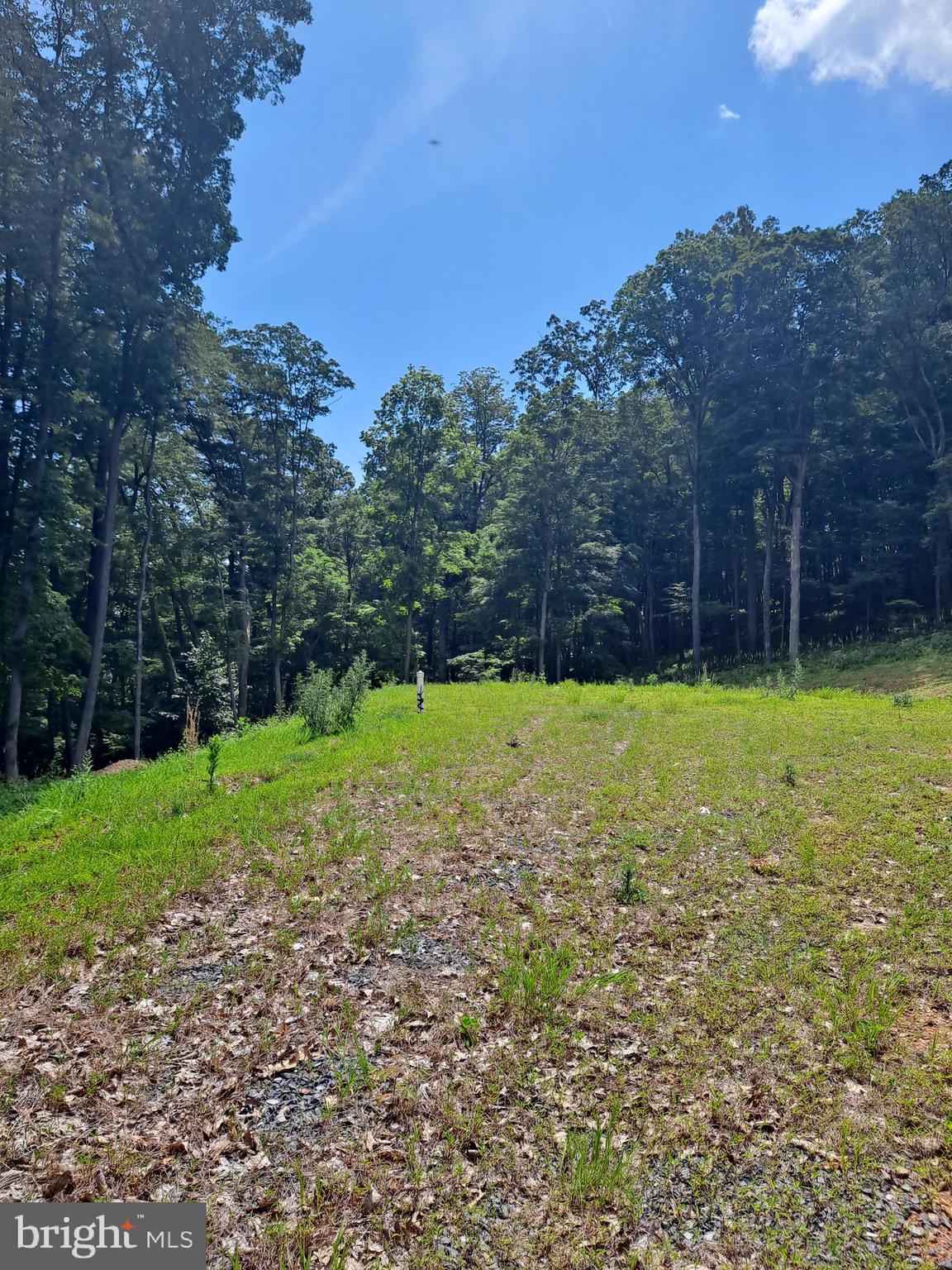 NONE AVAILABLE - Land