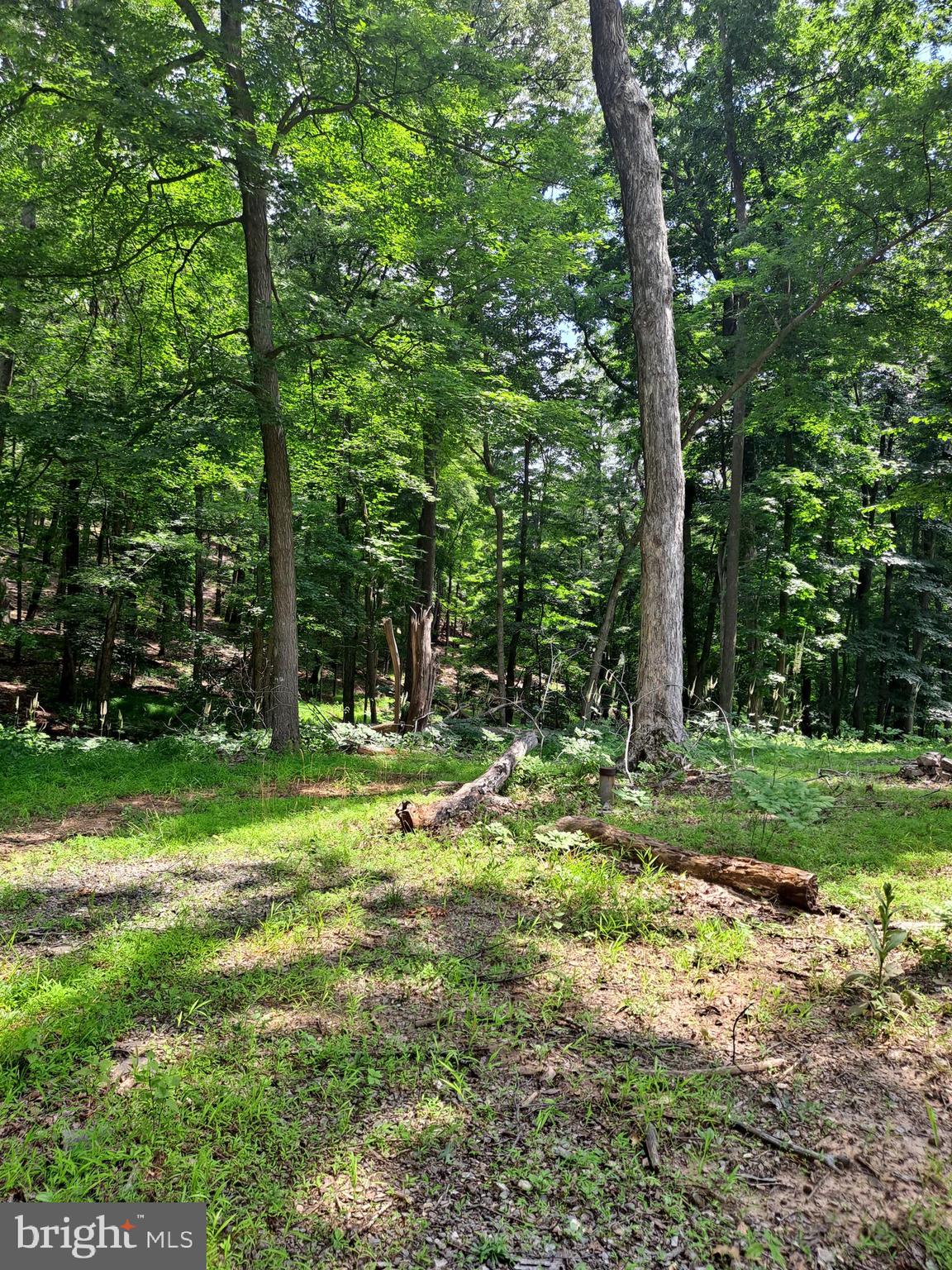 NONE AVAILABLE - Land