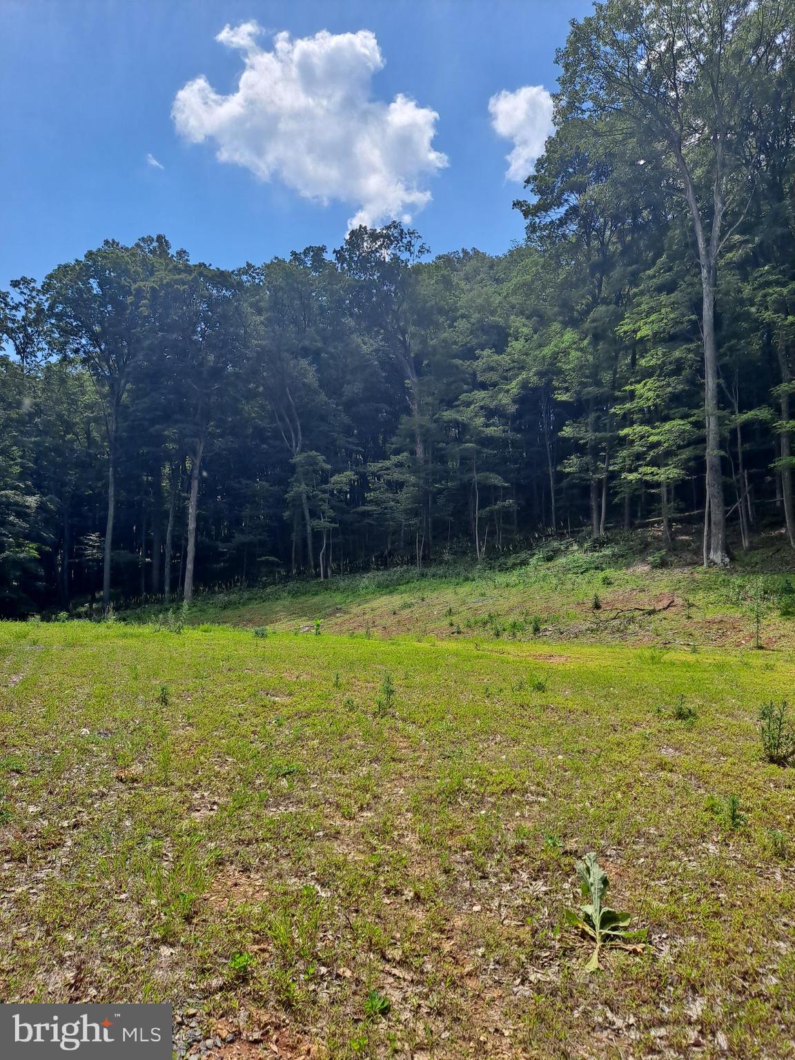 NONE AVAILABLE - Land