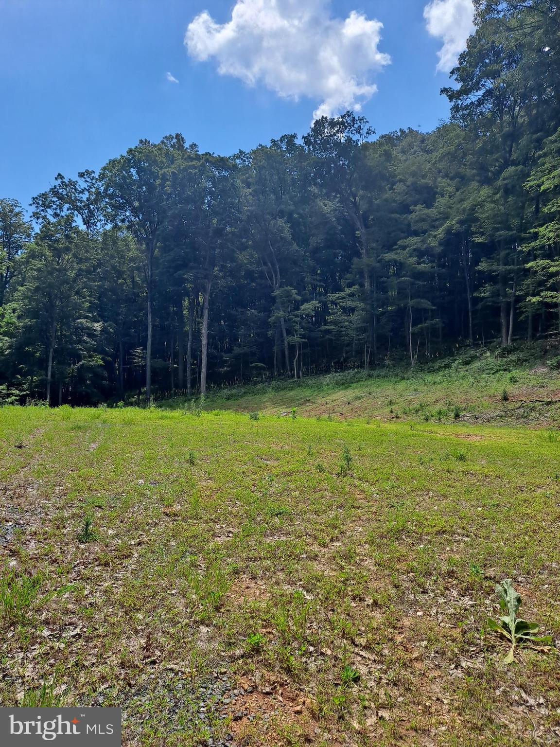 NONE AVAILABLE - Land