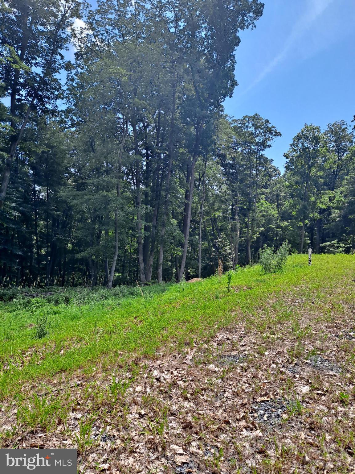 NONE AVAILABLE - Land