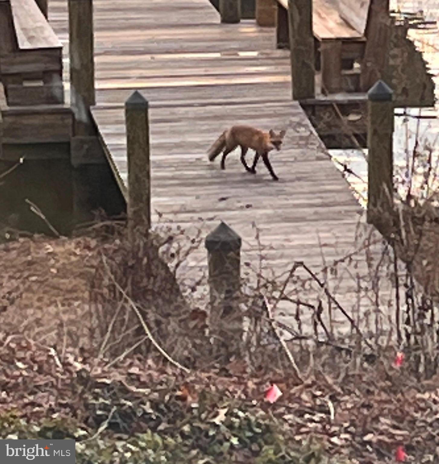 RIVERSIDE ESTATES - Residential